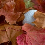 A condensed area of leaves could be considered GUR in some instances.