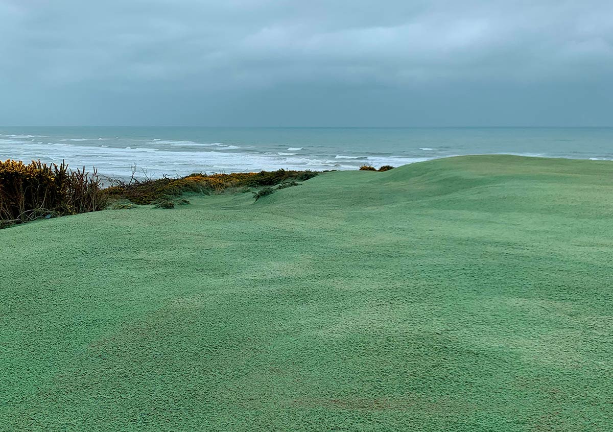 The back of the seventh green is treated with hydroseed and is ready for growth. 