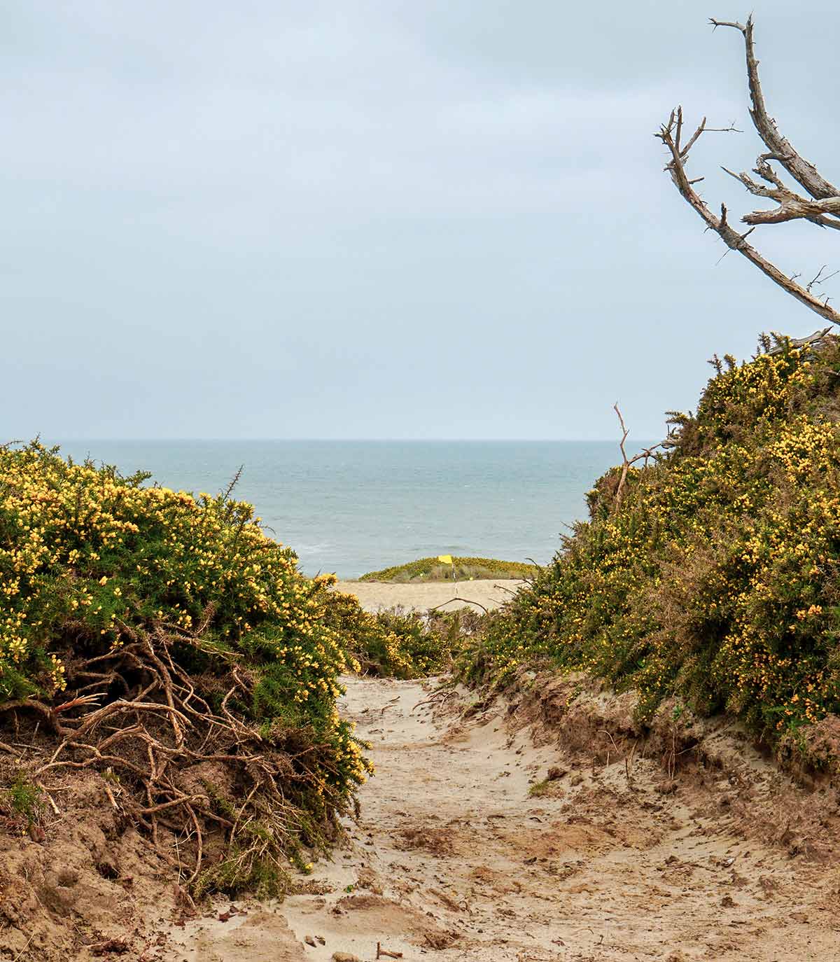 When you walk to the 17th tee box and look back, this is the view you’ll get of the 16th green.