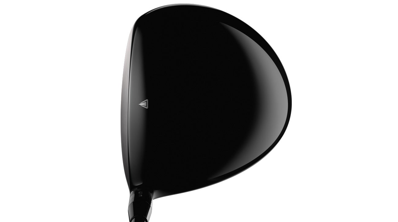 Titleist TS2 driver.
