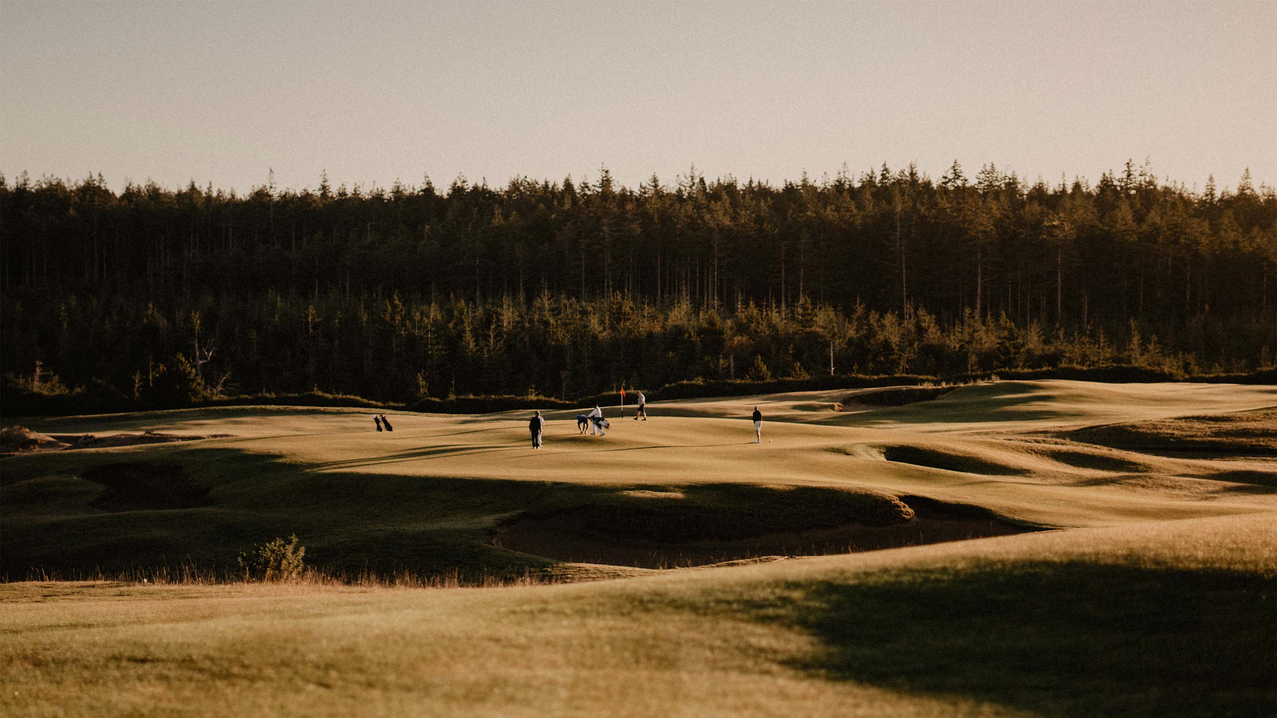 Old Macdonald at Bandon Dunes.