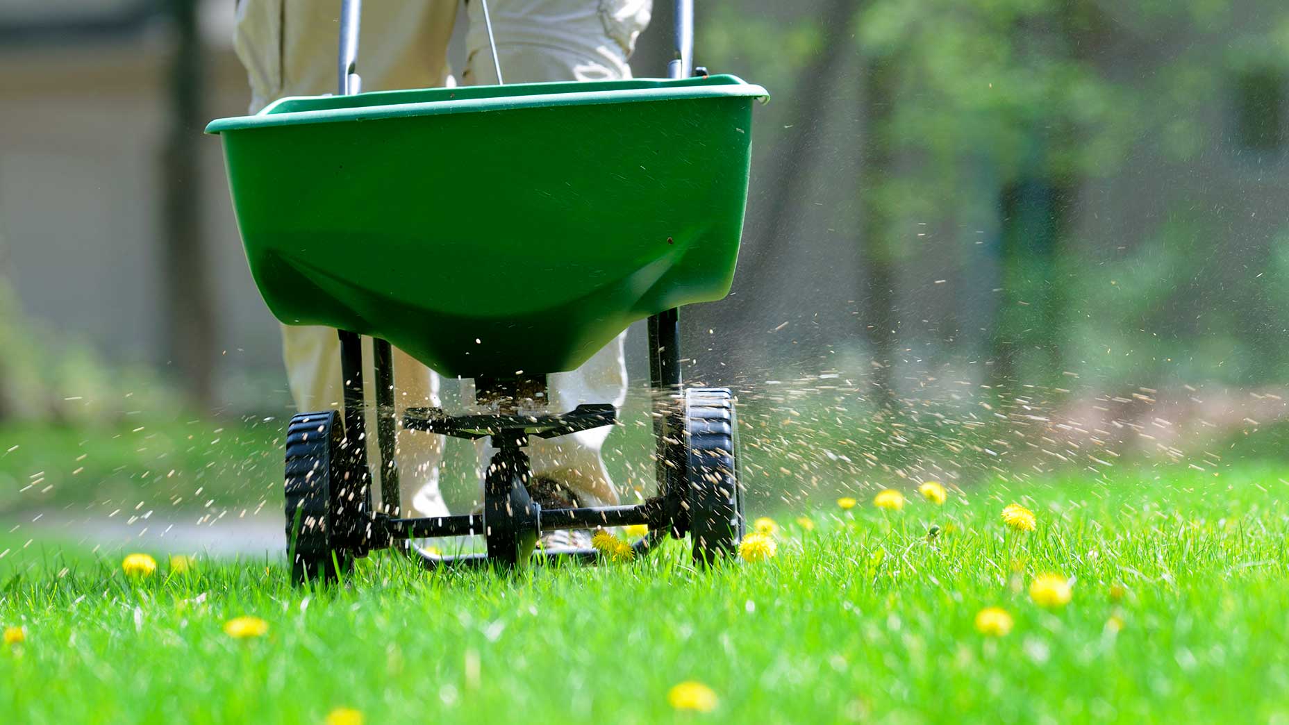 a person mows their lawn