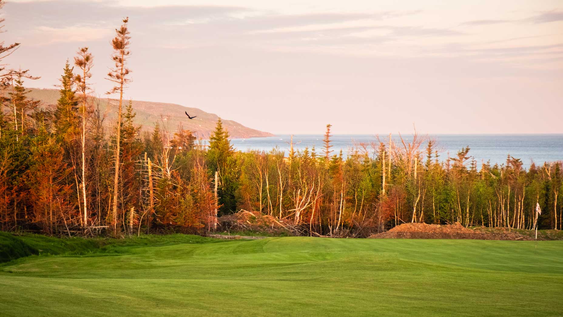 The Nest at Cabot Cape Breton.