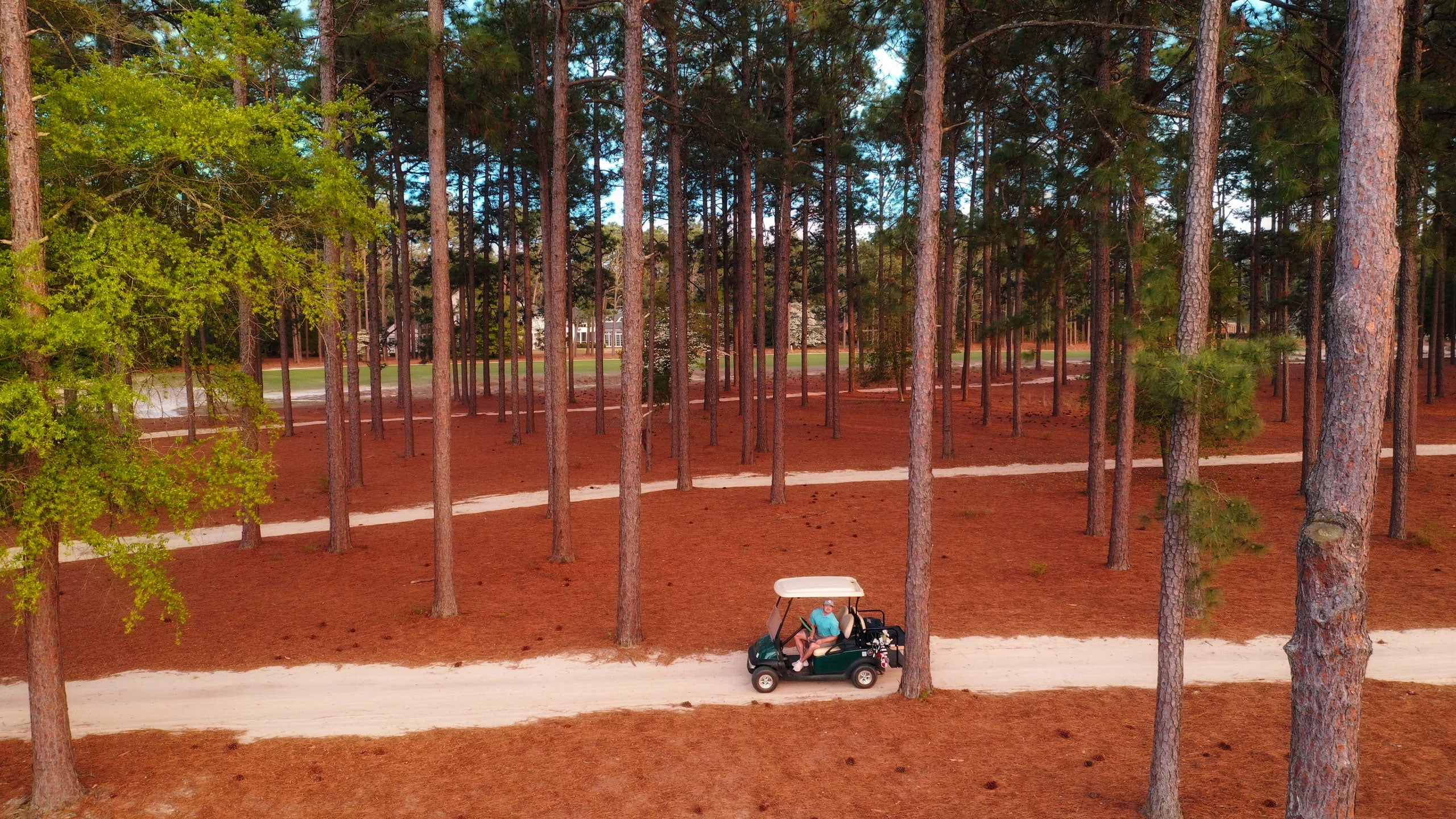 riggs barstool pinehurst