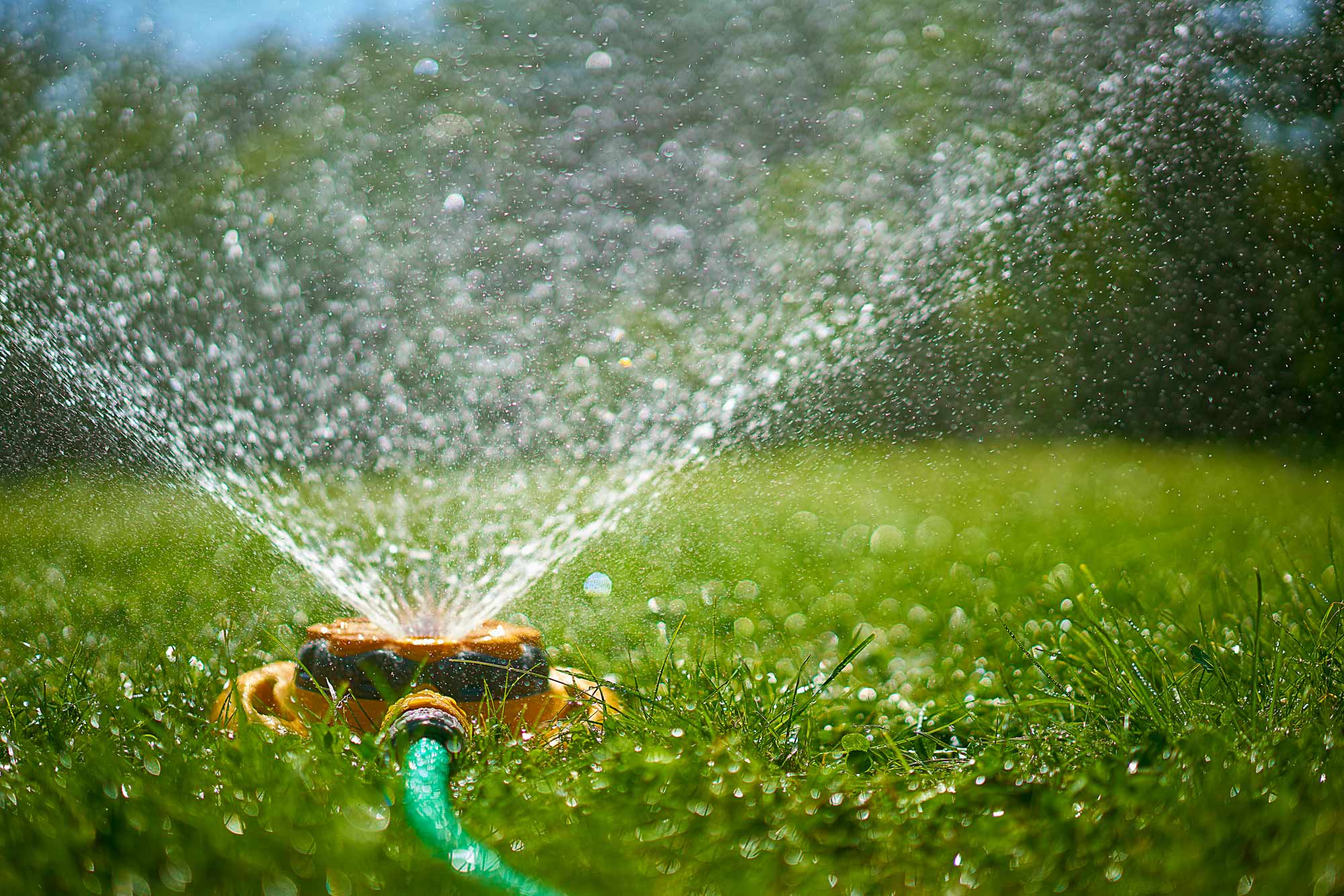 sprinkler watering a lawn