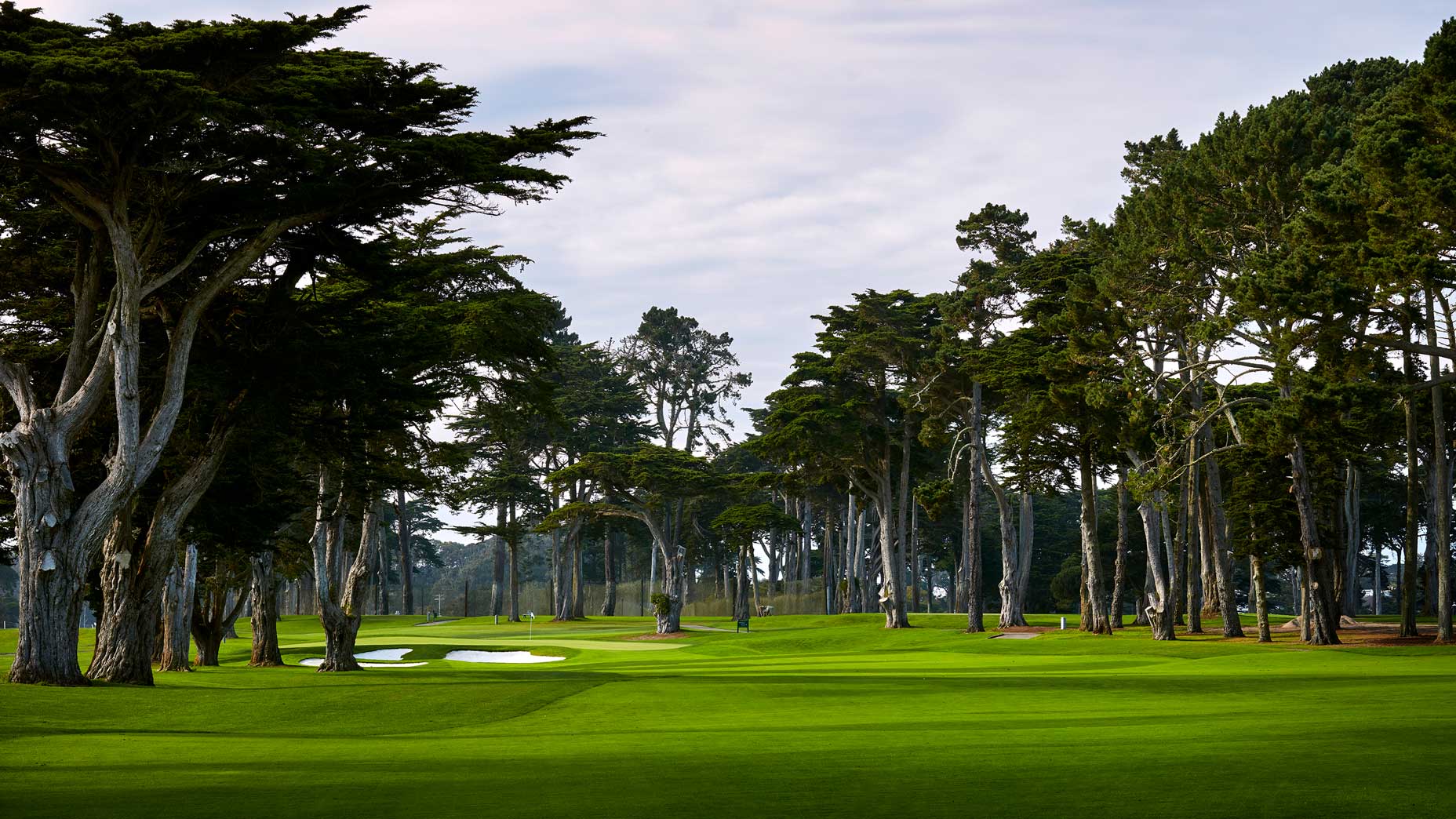 The 472-yard, par-4 6th hole at TPC Harding Park in 2018.