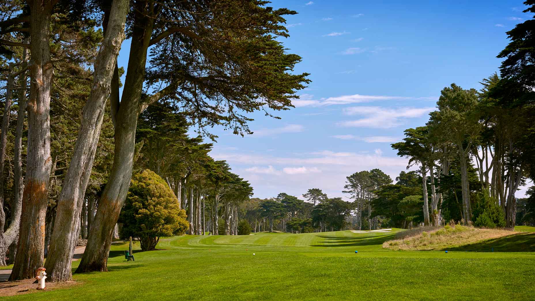The 562-yard, par-5 10th hole at TPC Harding Park in 2018.