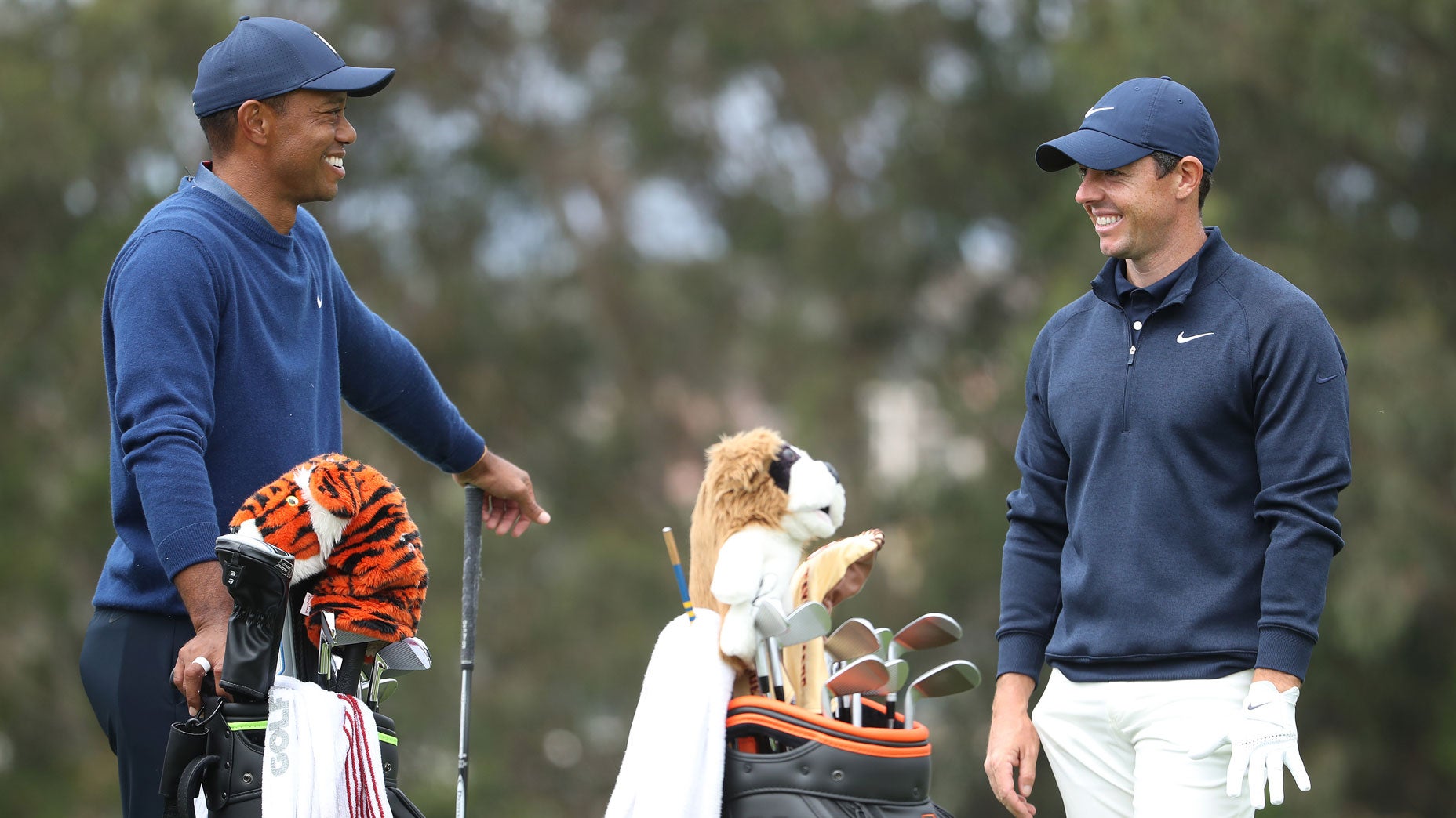 tiger woods rory mcilroy