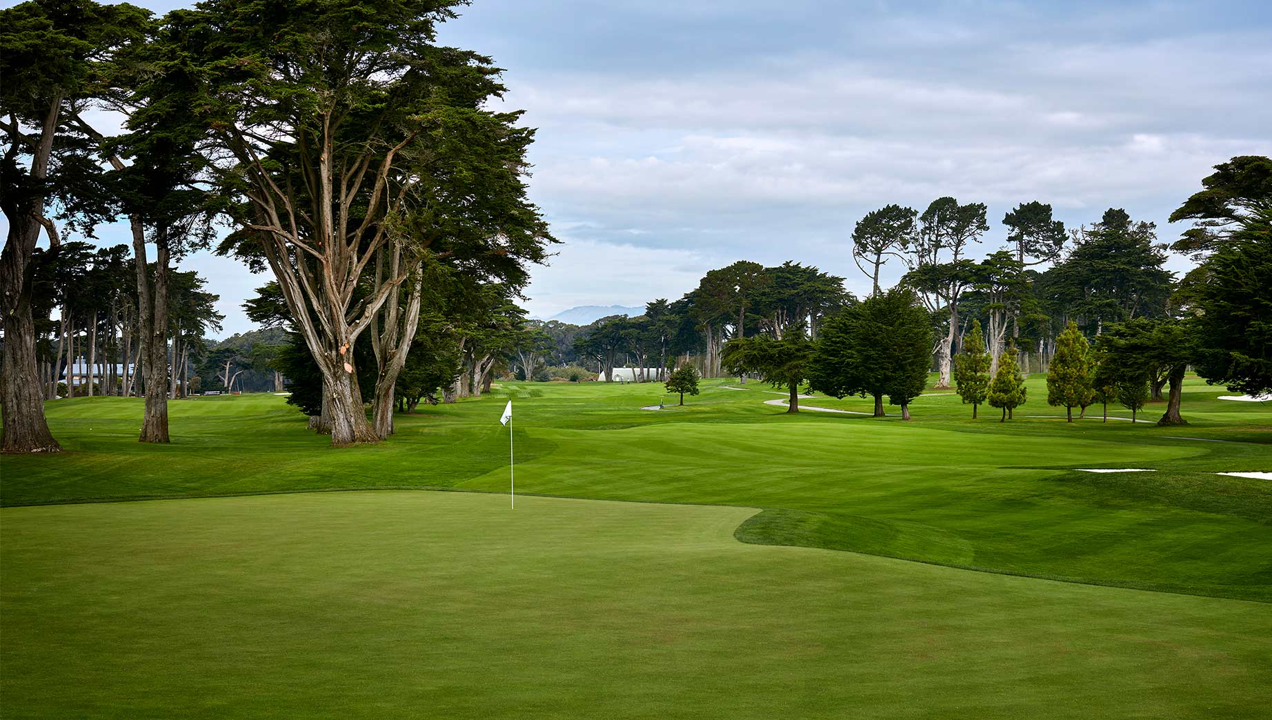 TPC Harding Park