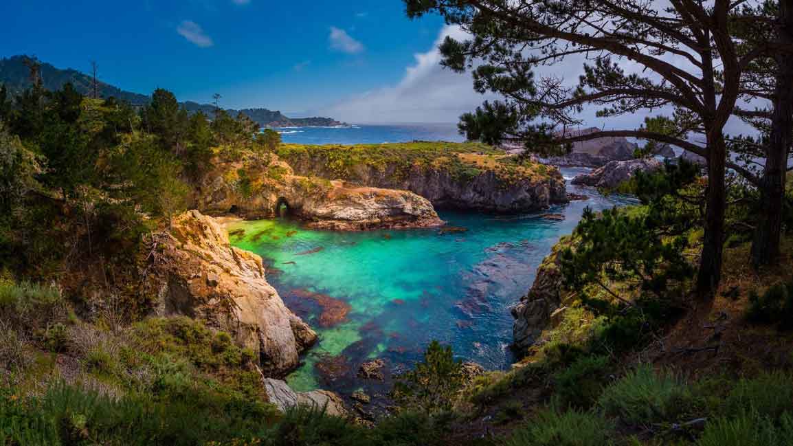 Point Lobos