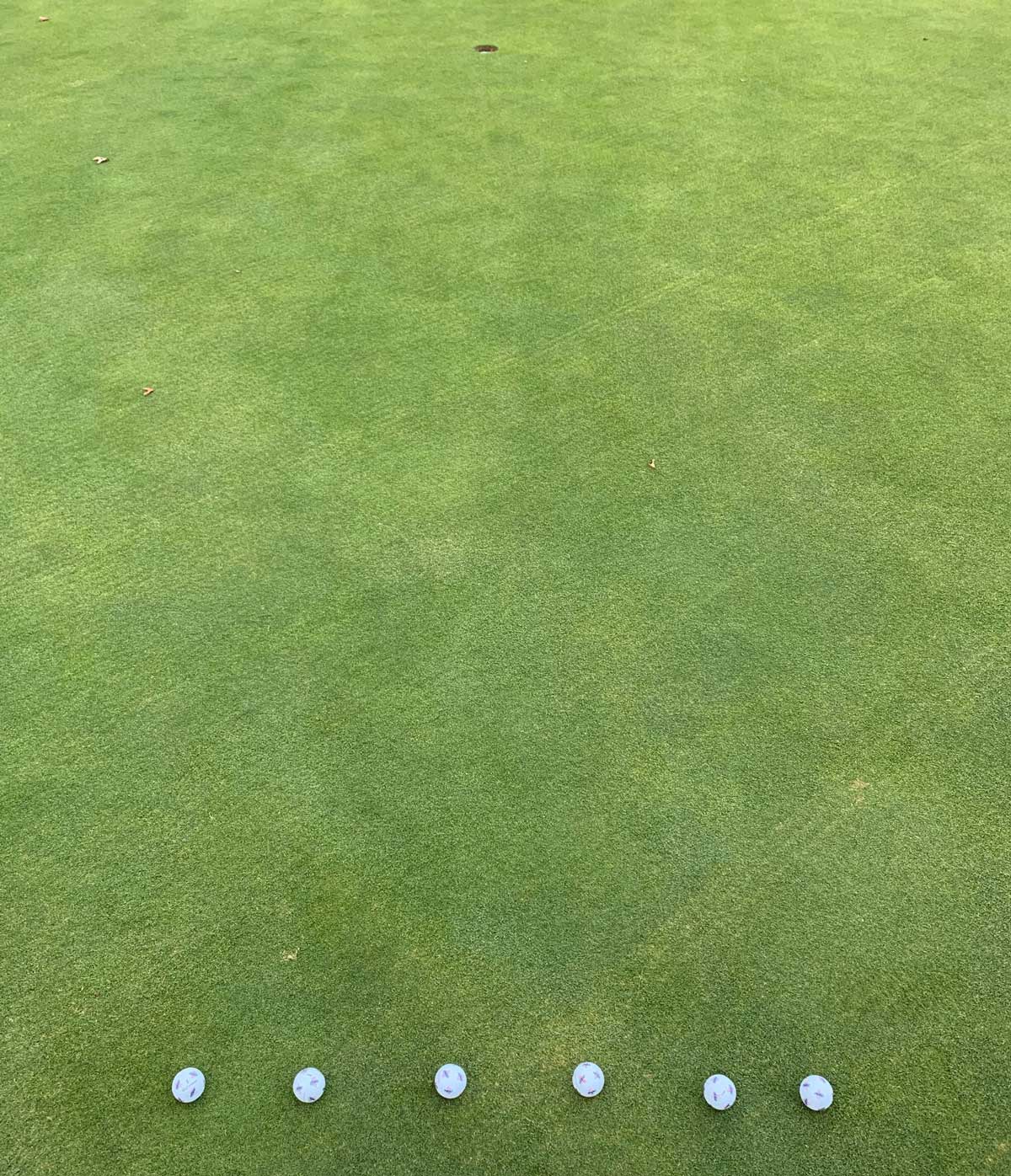 balls on green