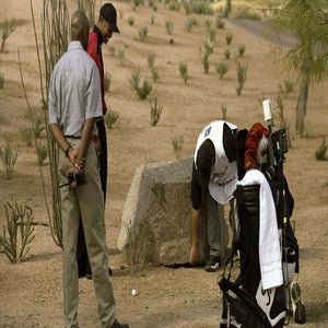 fans move a boulder for tiger woods