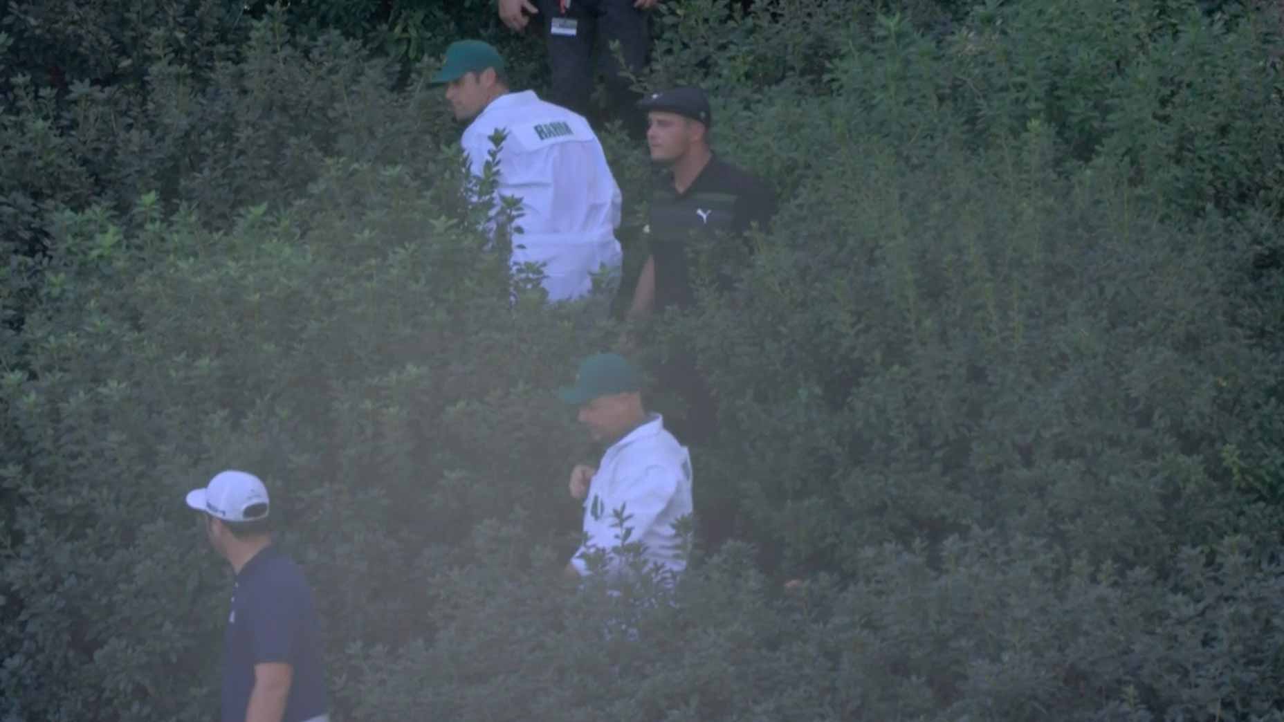 bryson dechambeau searches bushes