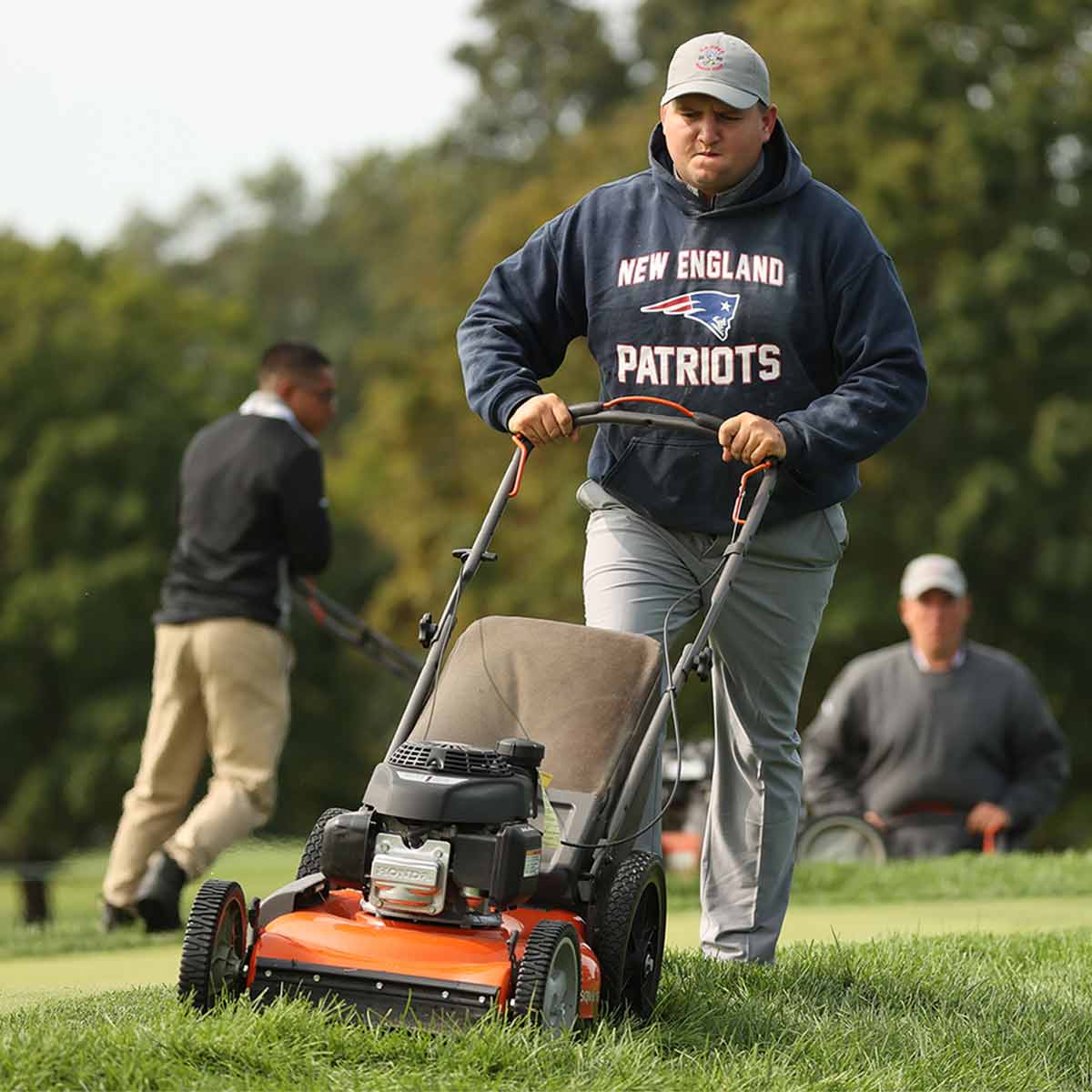 U.S. Open rough at Winged Foot.