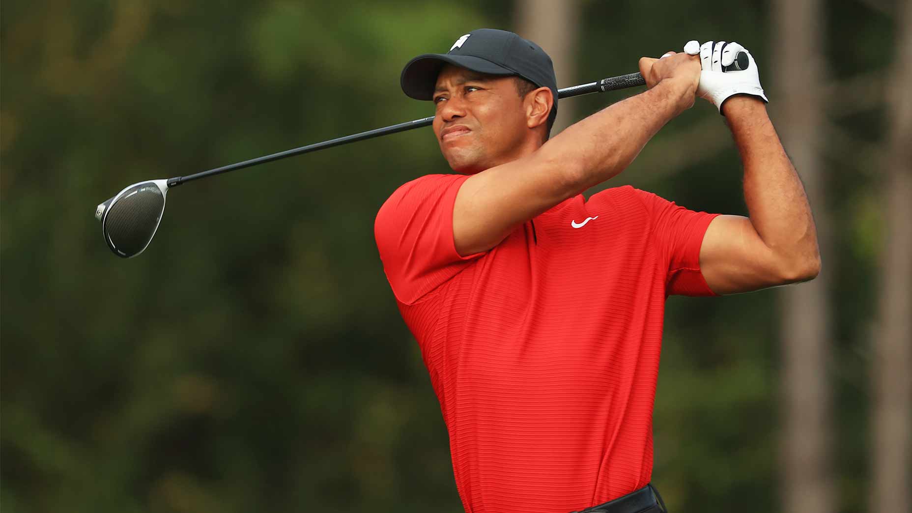 Tiger Woods swings.