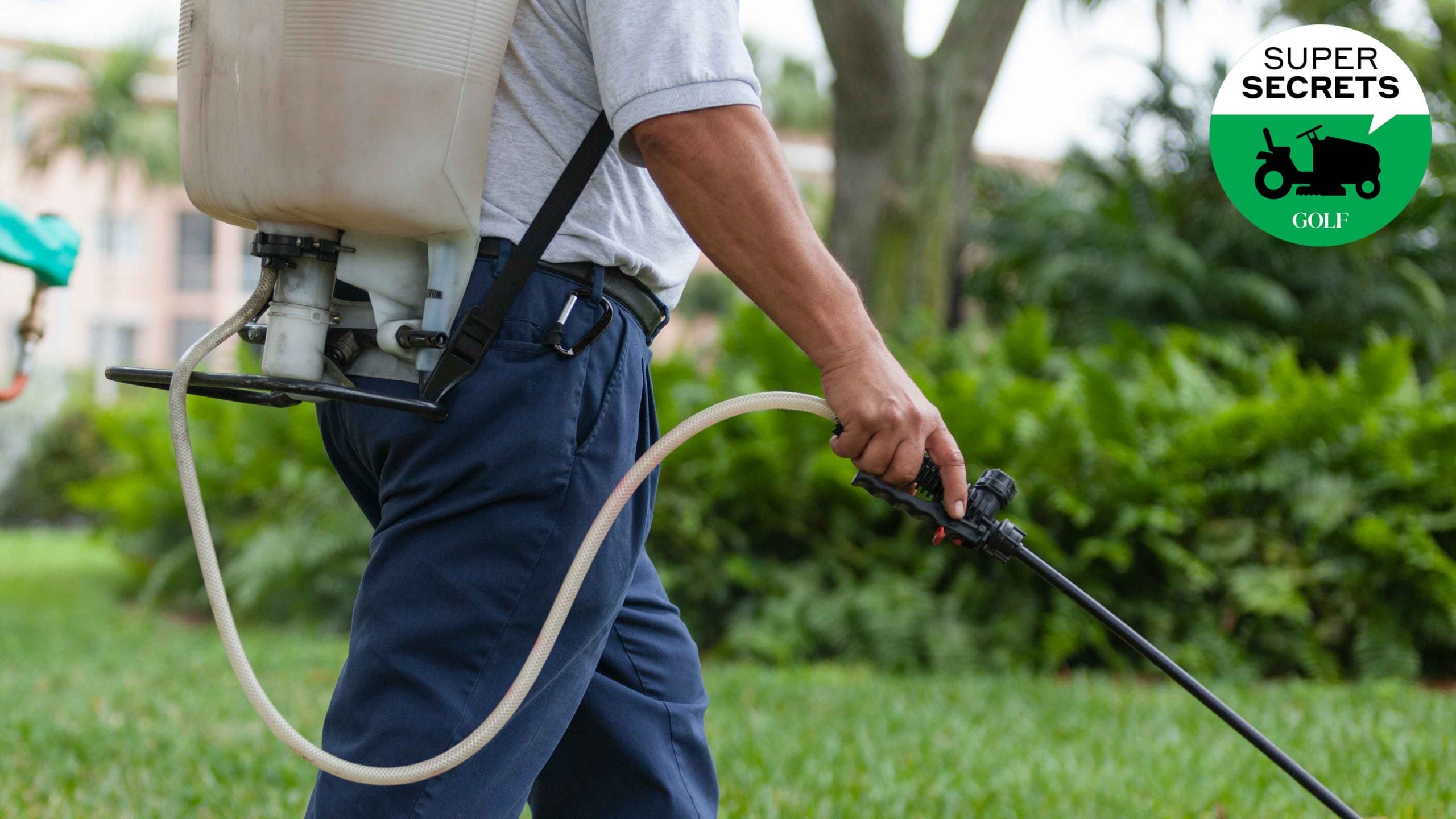 lawn care worker spraying grass