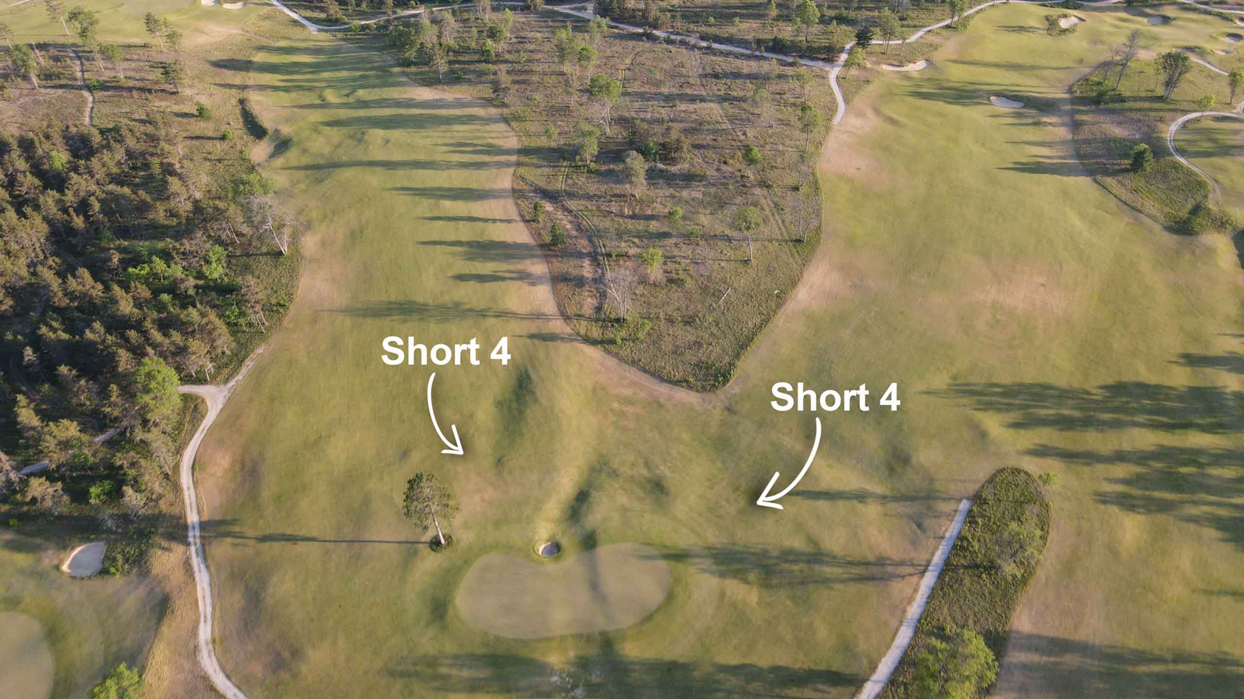 The Loop Forest Dunes