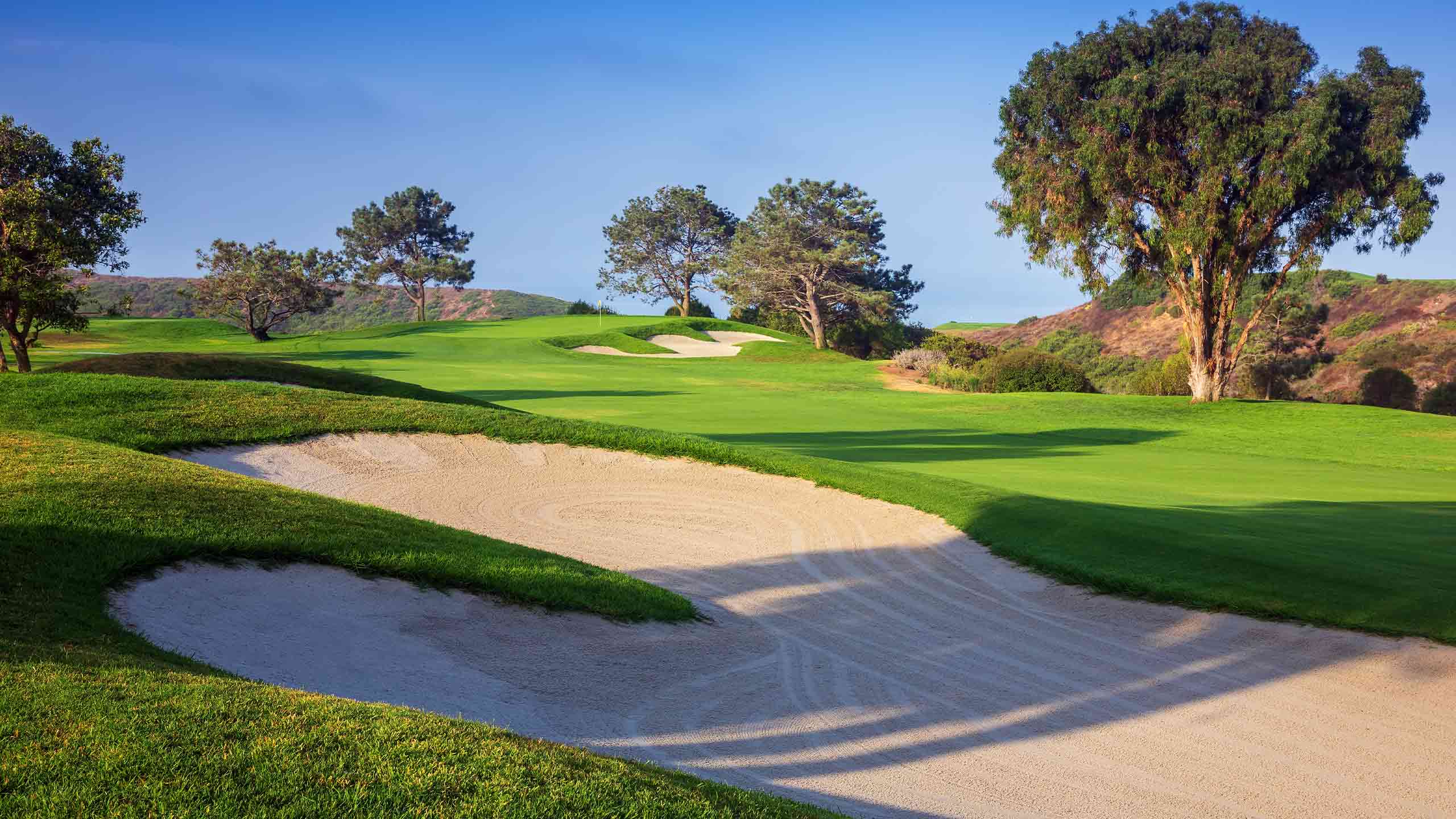 7th hole at Torrey Pines
