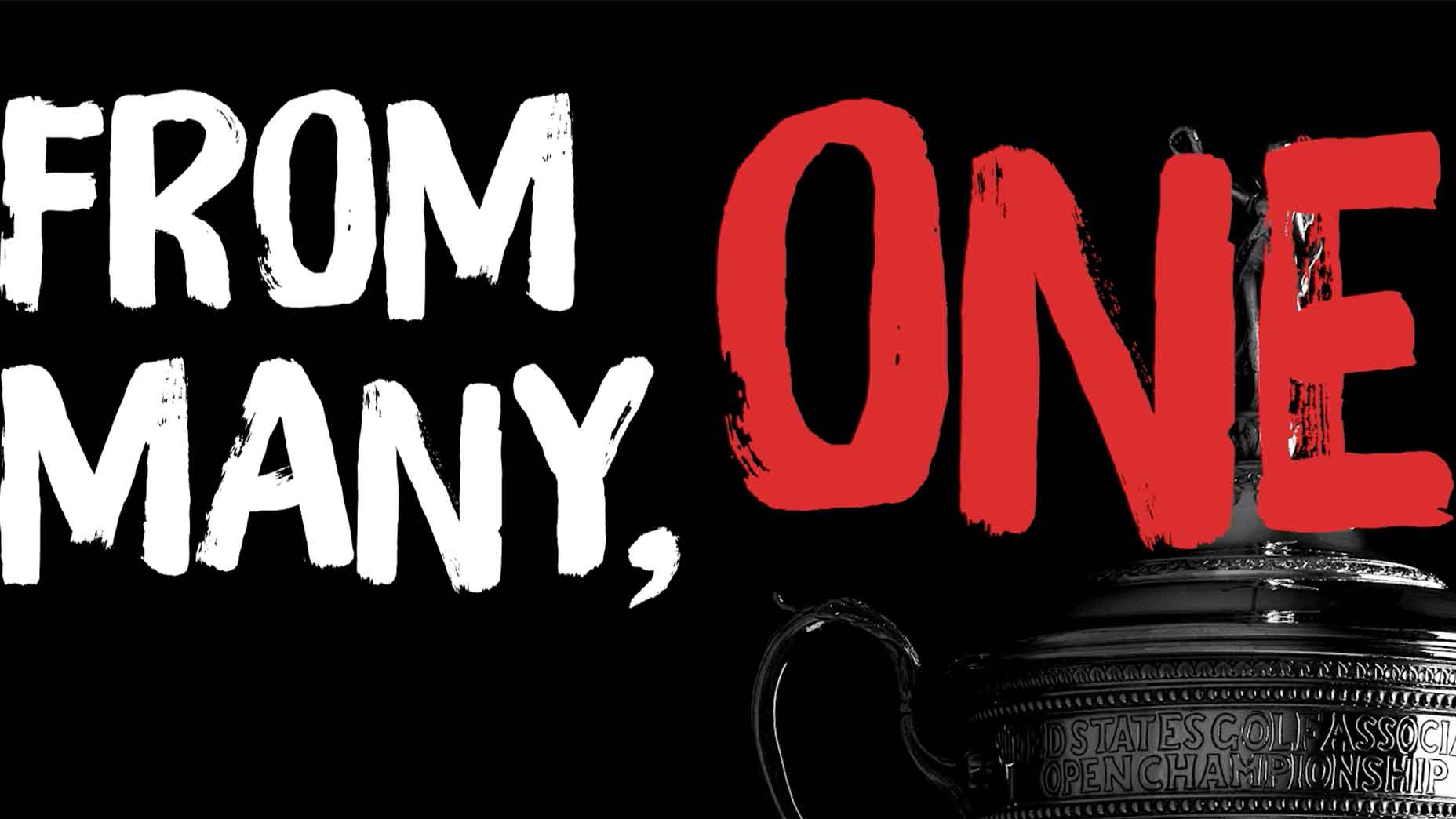 from many one title card