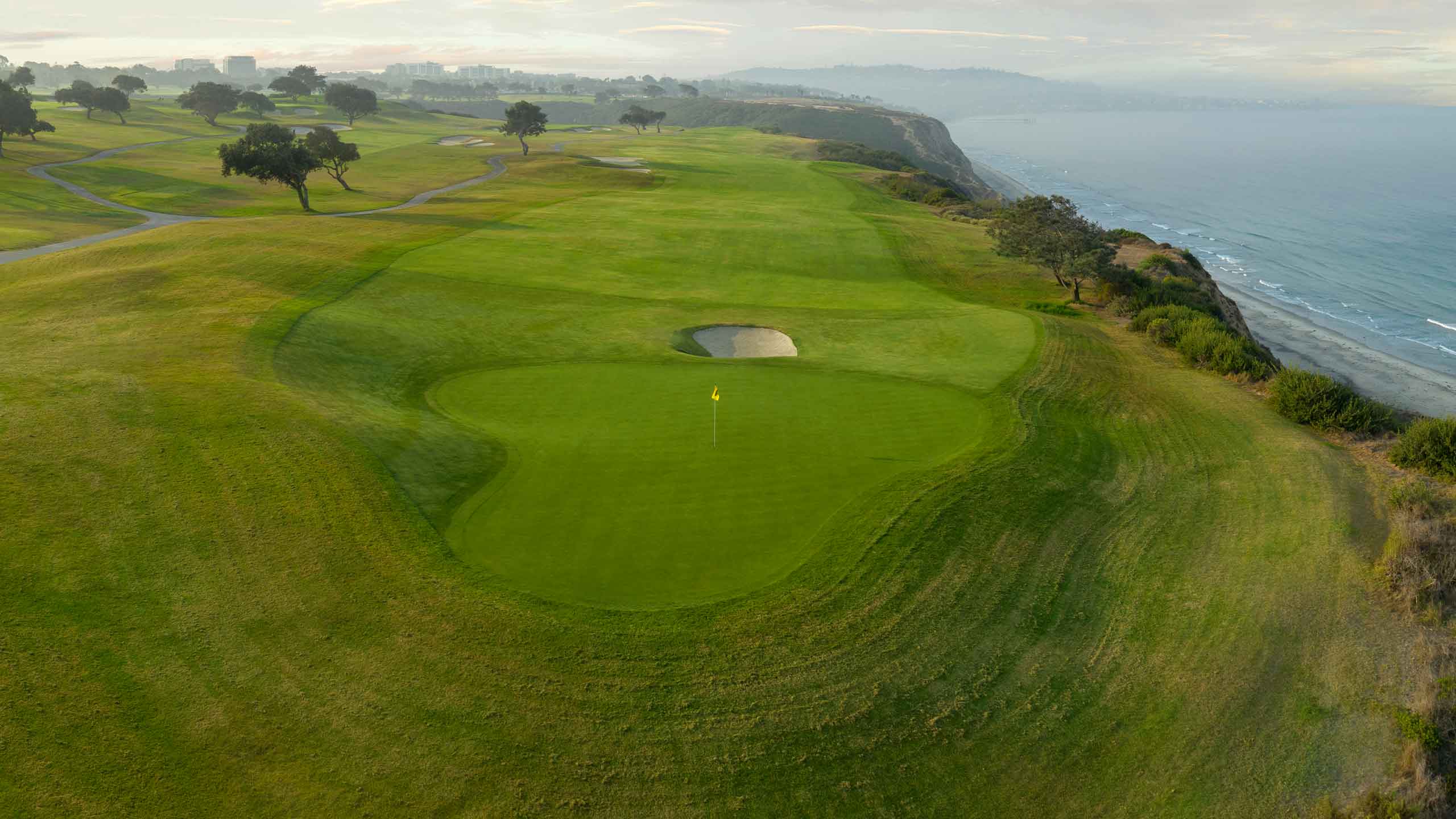 torrey pines overhead