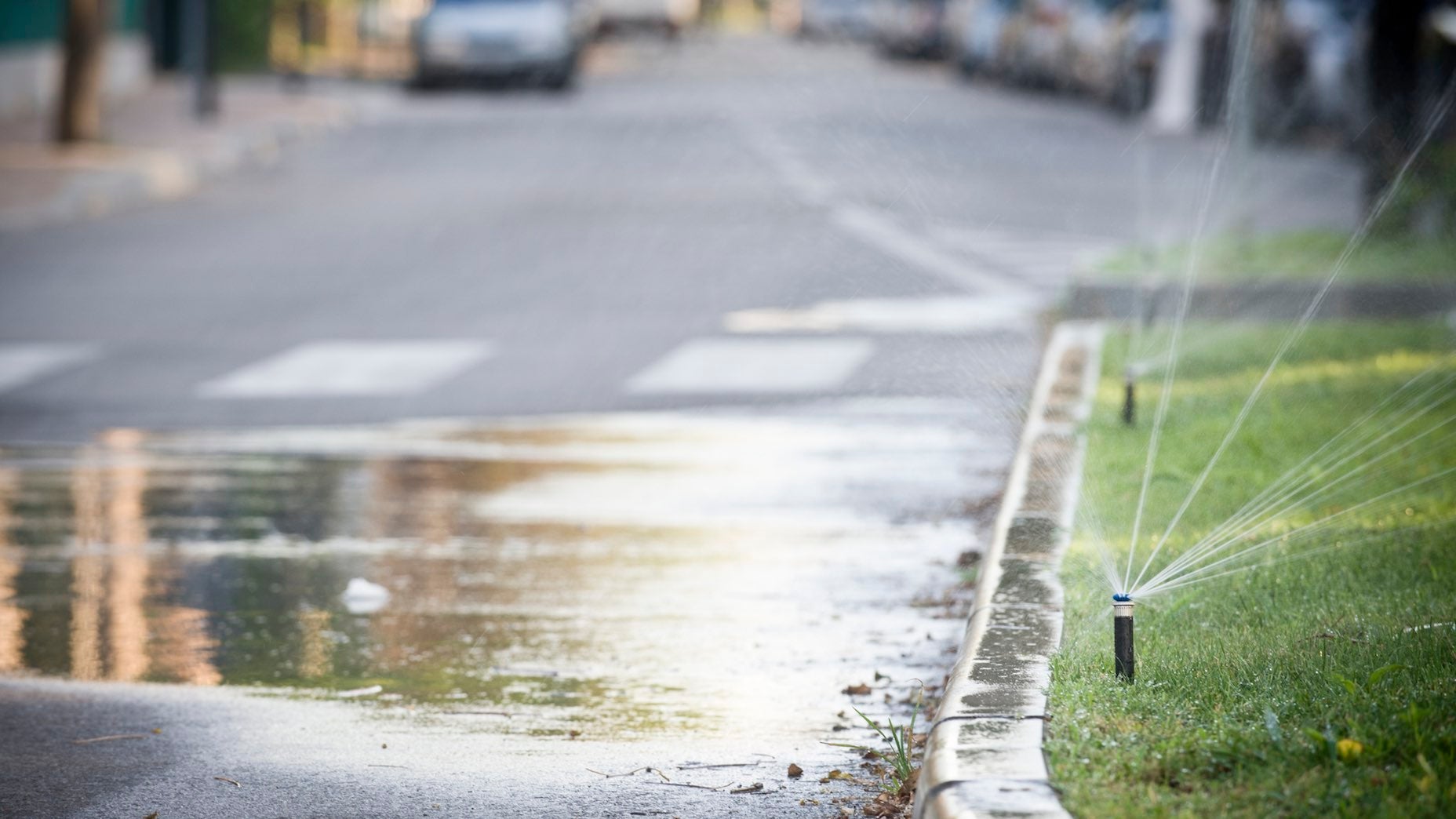 Make sure you're watering your grass &mdash;&nbsp;not your road.