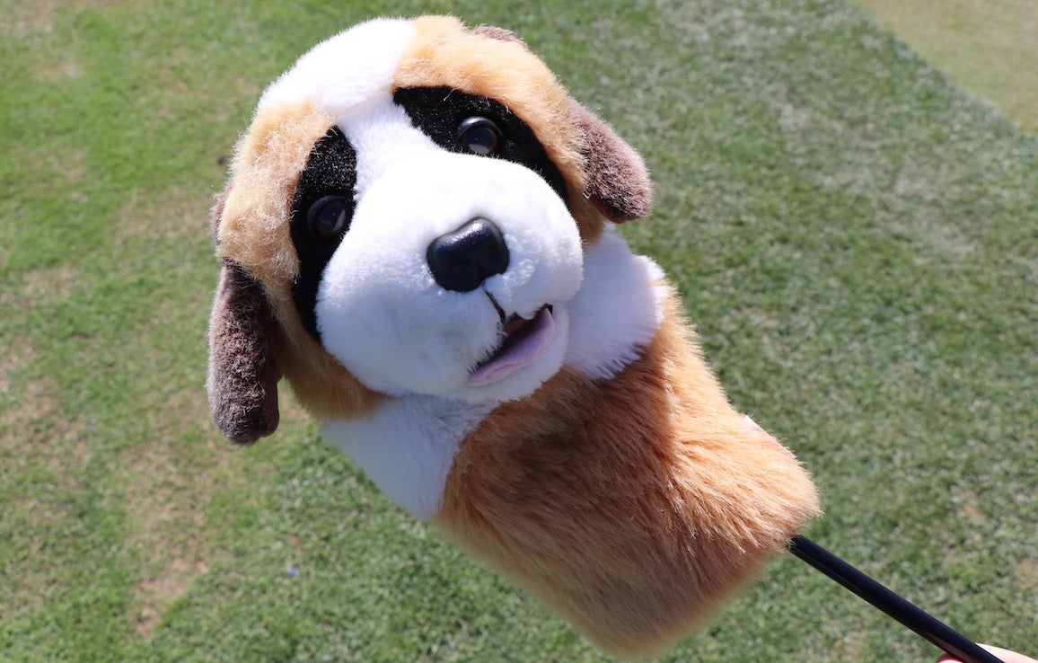 Rory McIlroy's St. Bernard dog headcover.