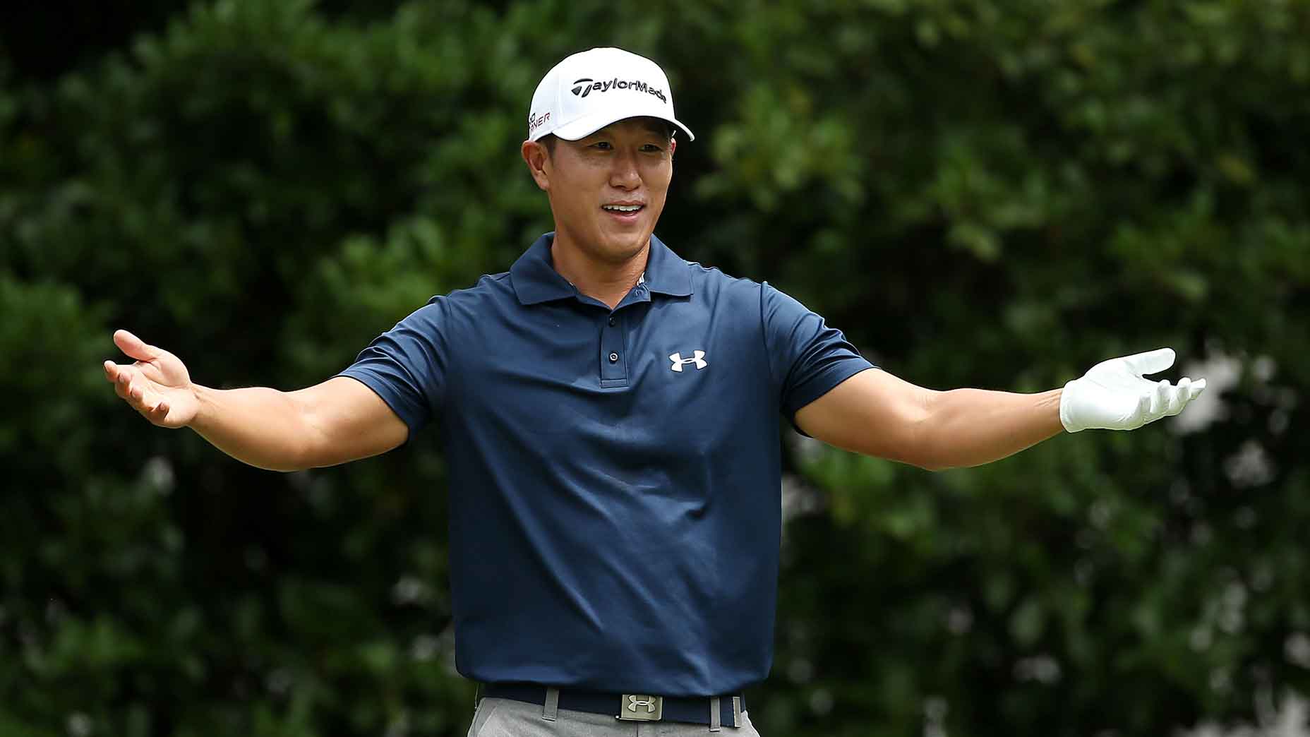 james-hahn palms to the sky