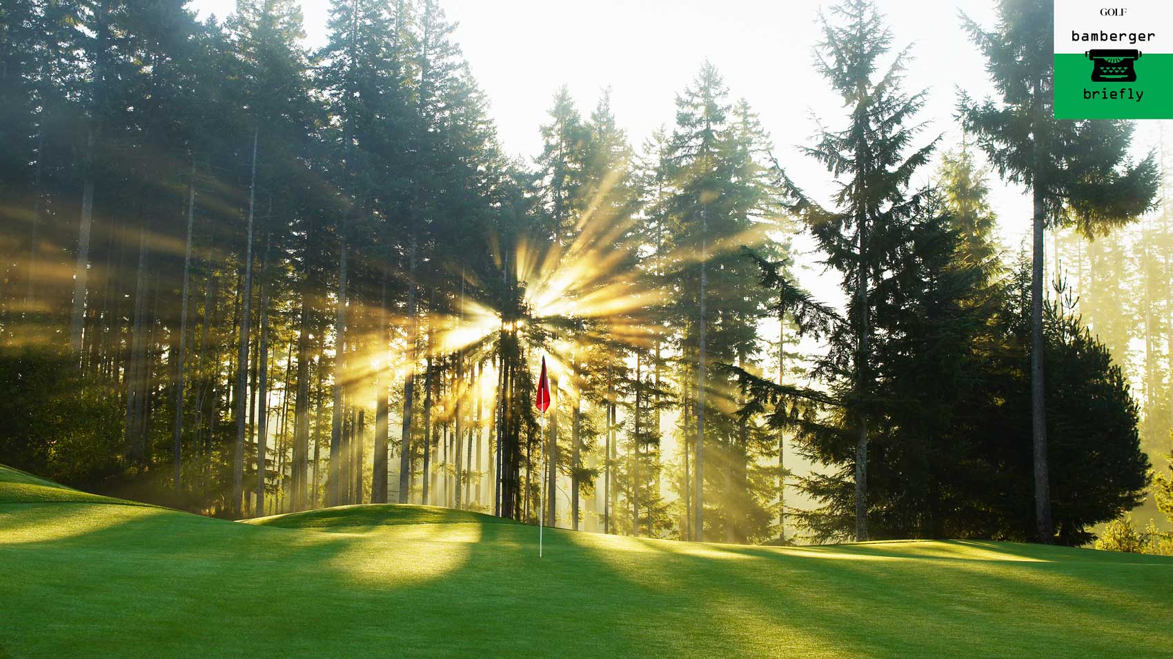 Empty golf course with flag and surrounding trees