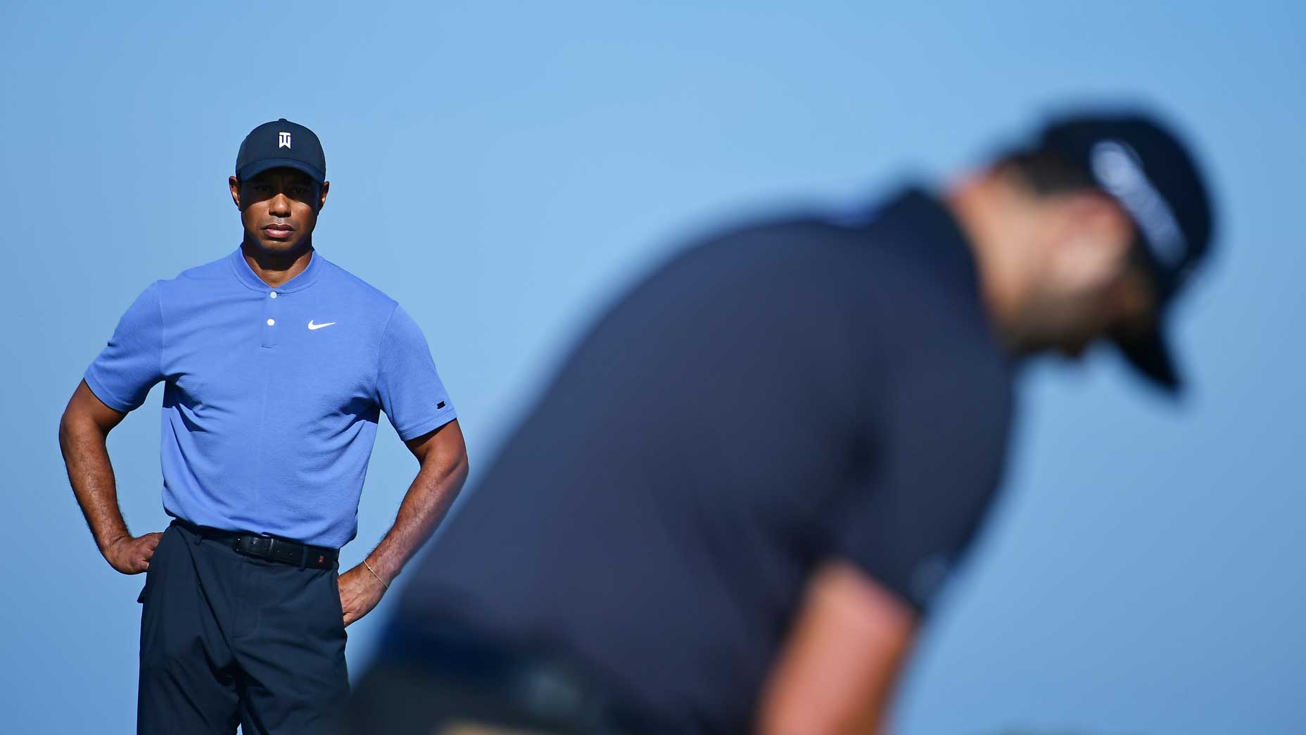 tiger woods watches pro golfer putt on golf green