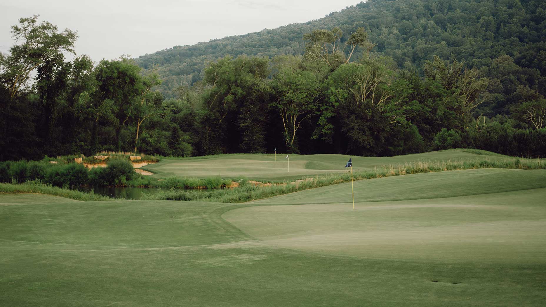 Sweetens Cove in Tennessee.