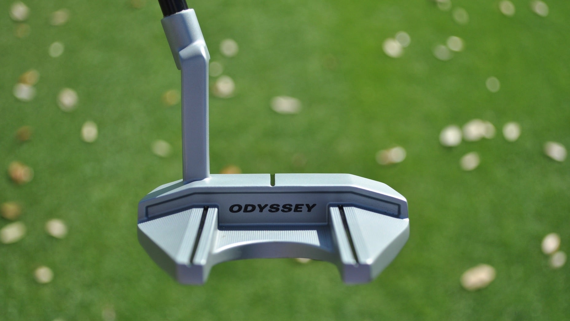 xander schauffele odyssey putter