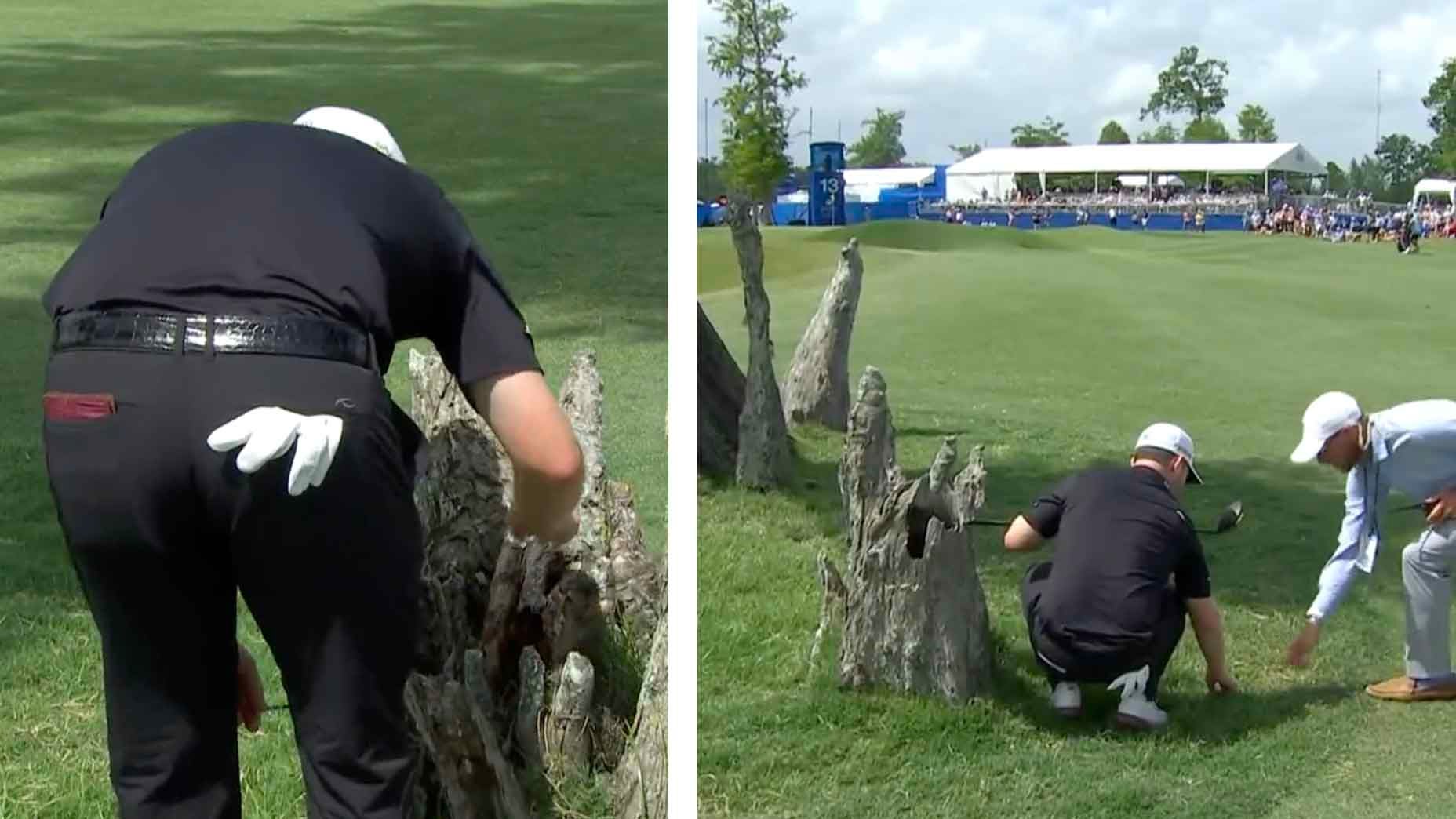 branden grace ruling