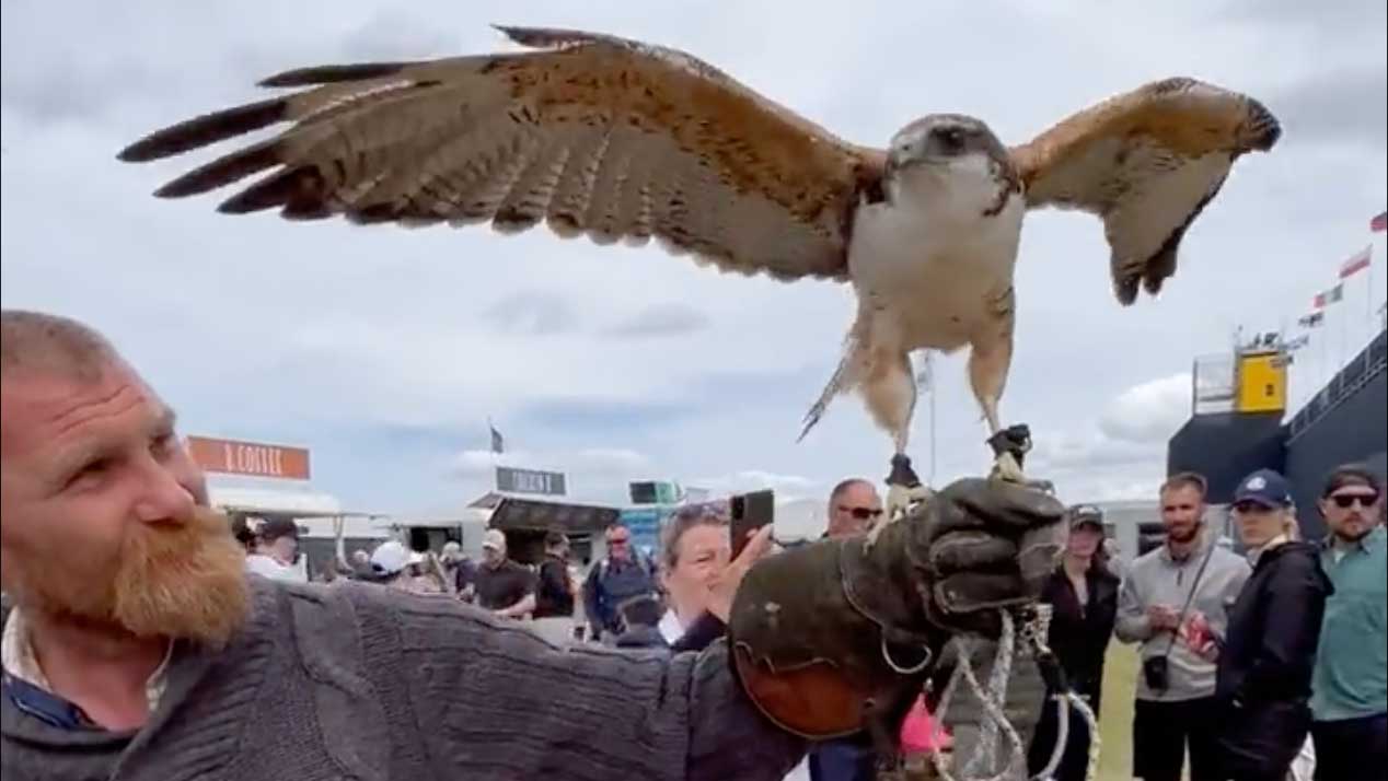 enya hawk at old course