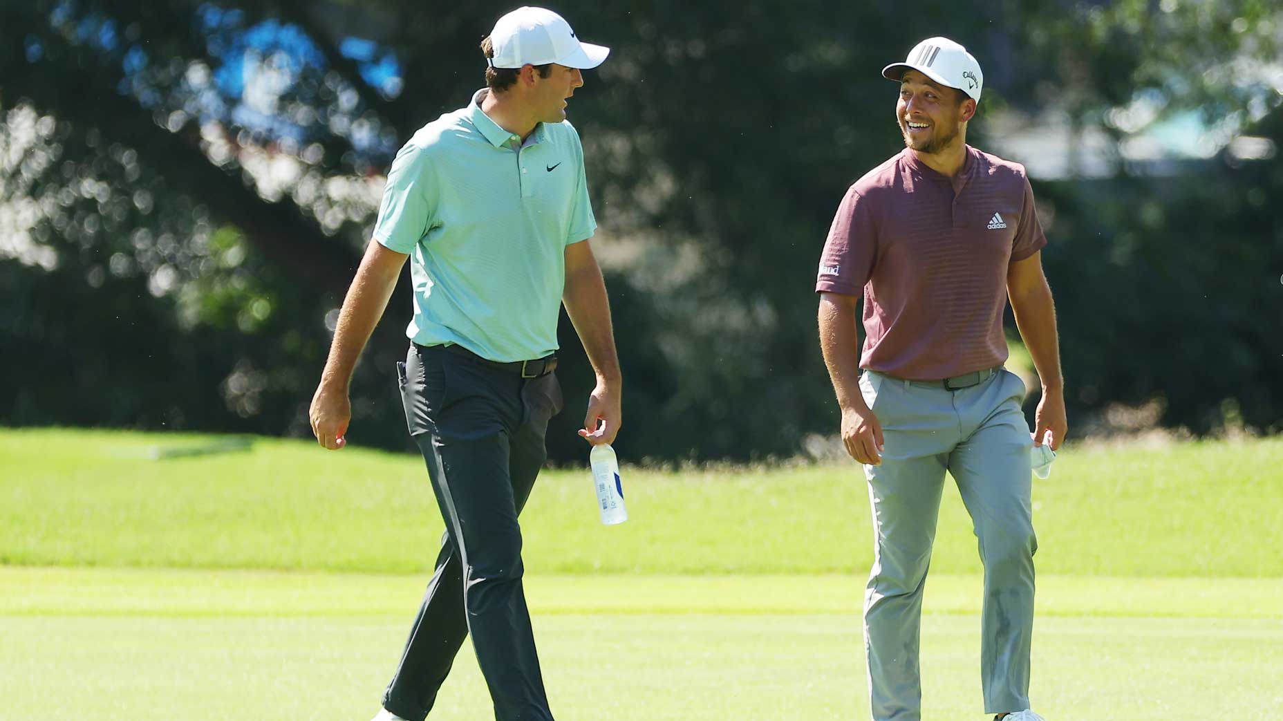 Scottie Scheffler, Xander Schauffele