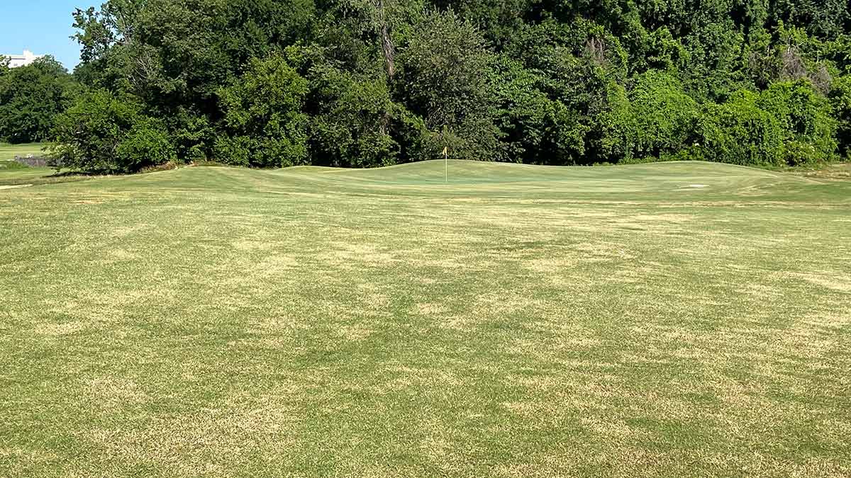 The 6th hole at Overton Park.
