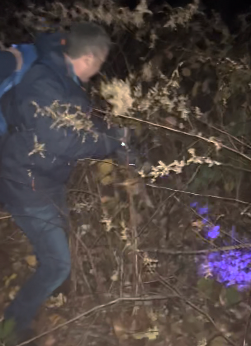 digging in bushes for golf balls