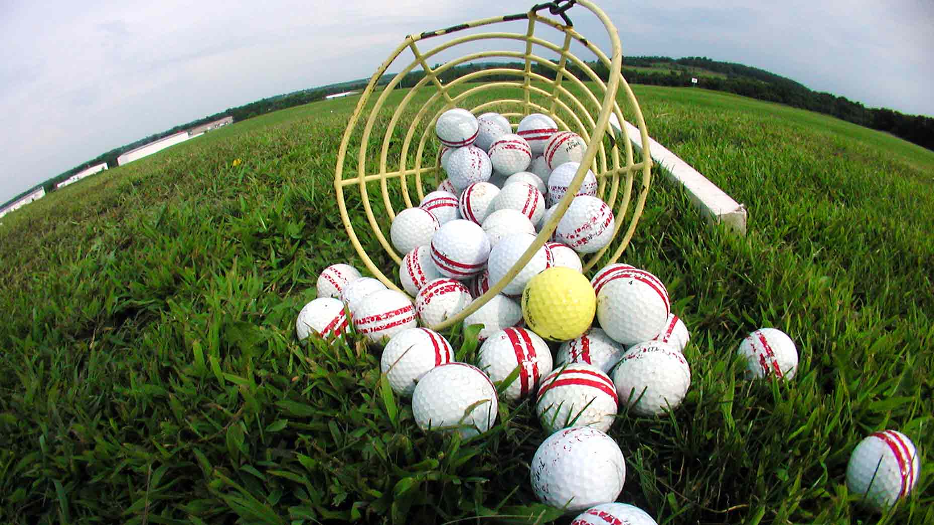 a bunch of golf balls