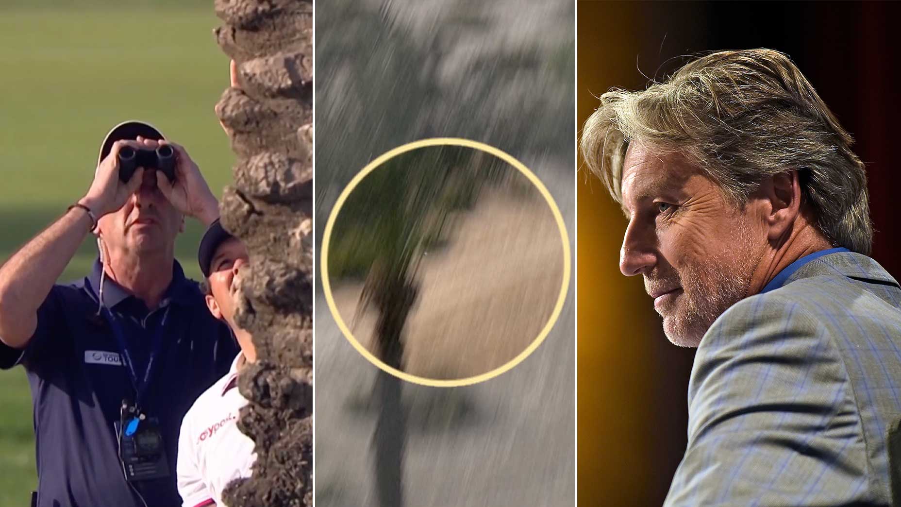 Brandel Chamblee breaks down Patrick Reed's "tree gate" incident at the Dubai Desert Classic on Golf Channel.