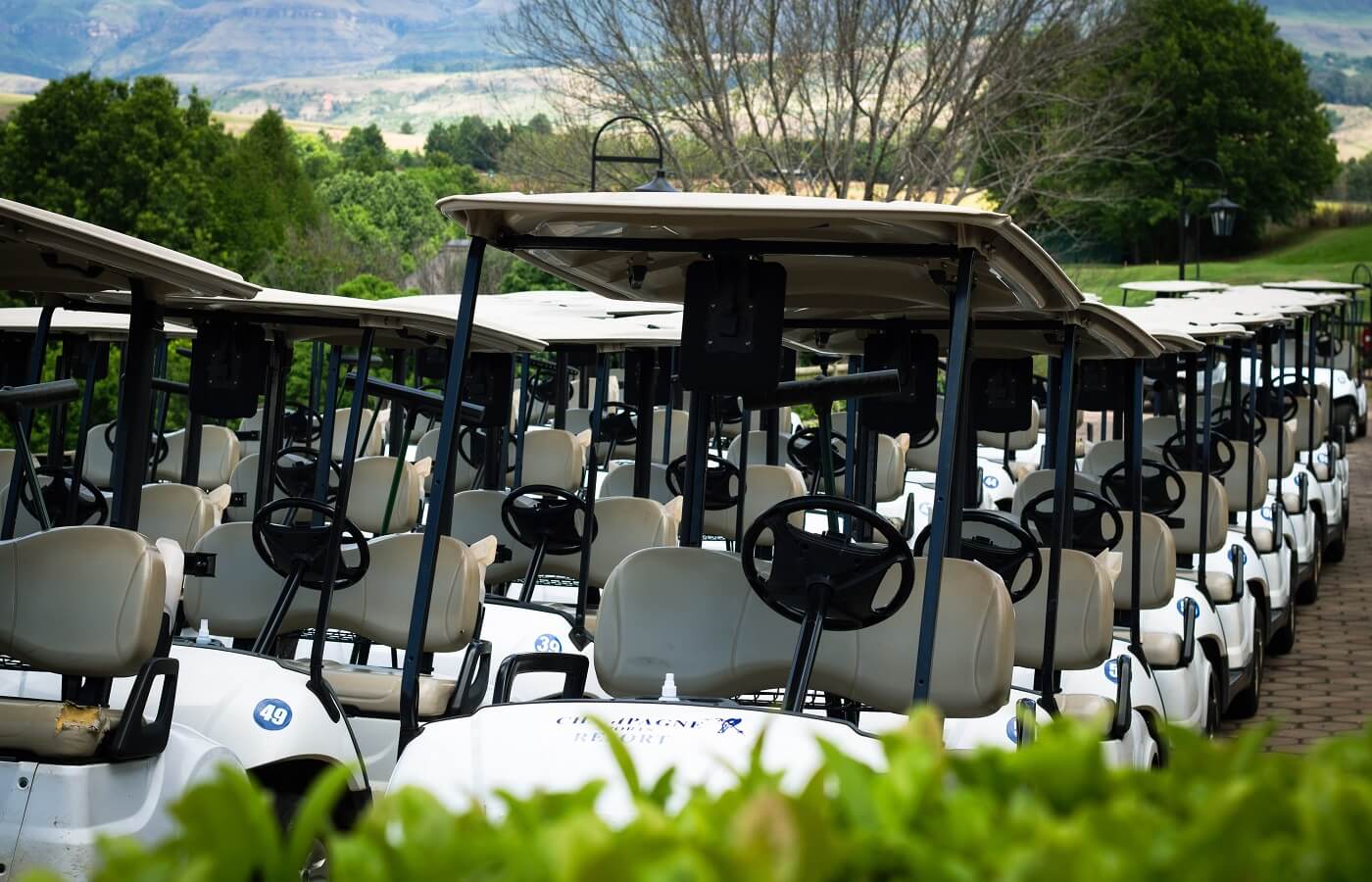 Many golf carts lined up