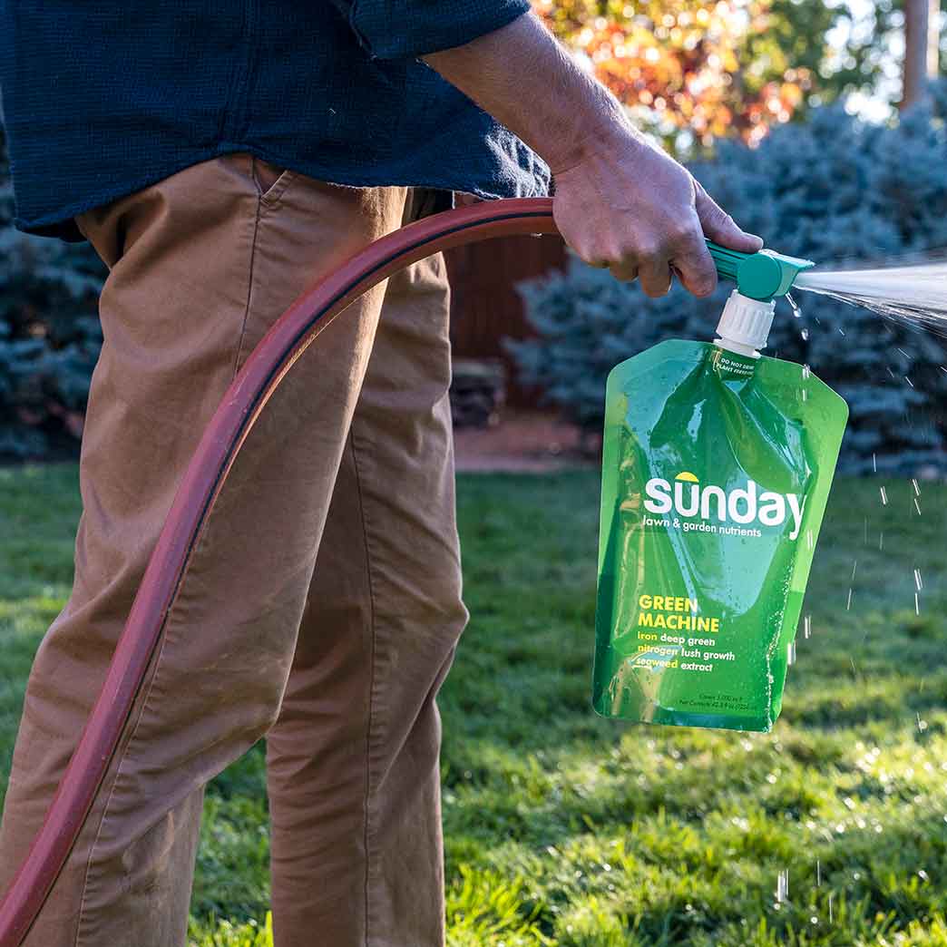 sunday lawn spray