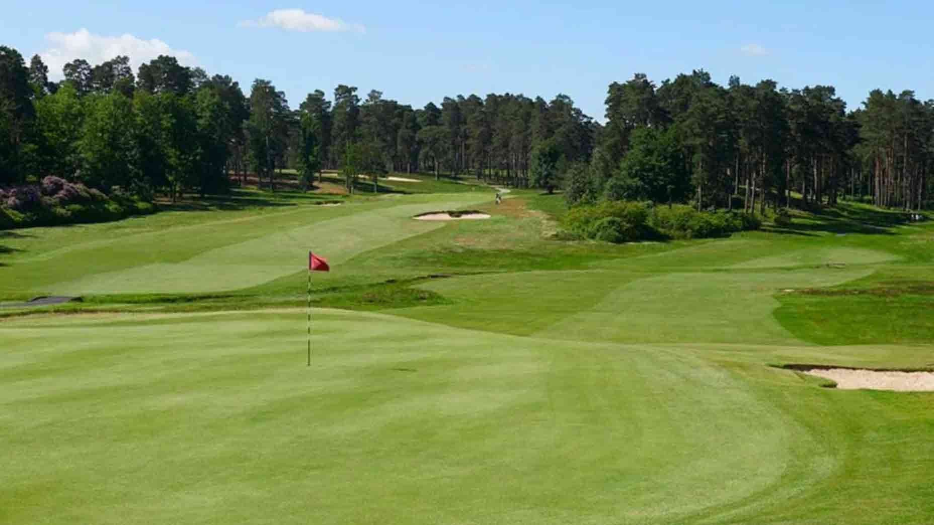 A view of Swinley Forest golf course