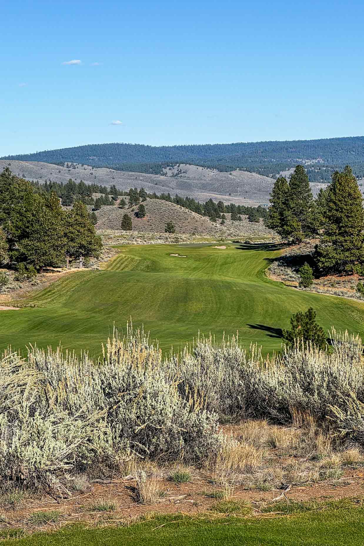 A tee shot at Silvies Ranch's Craddock course.