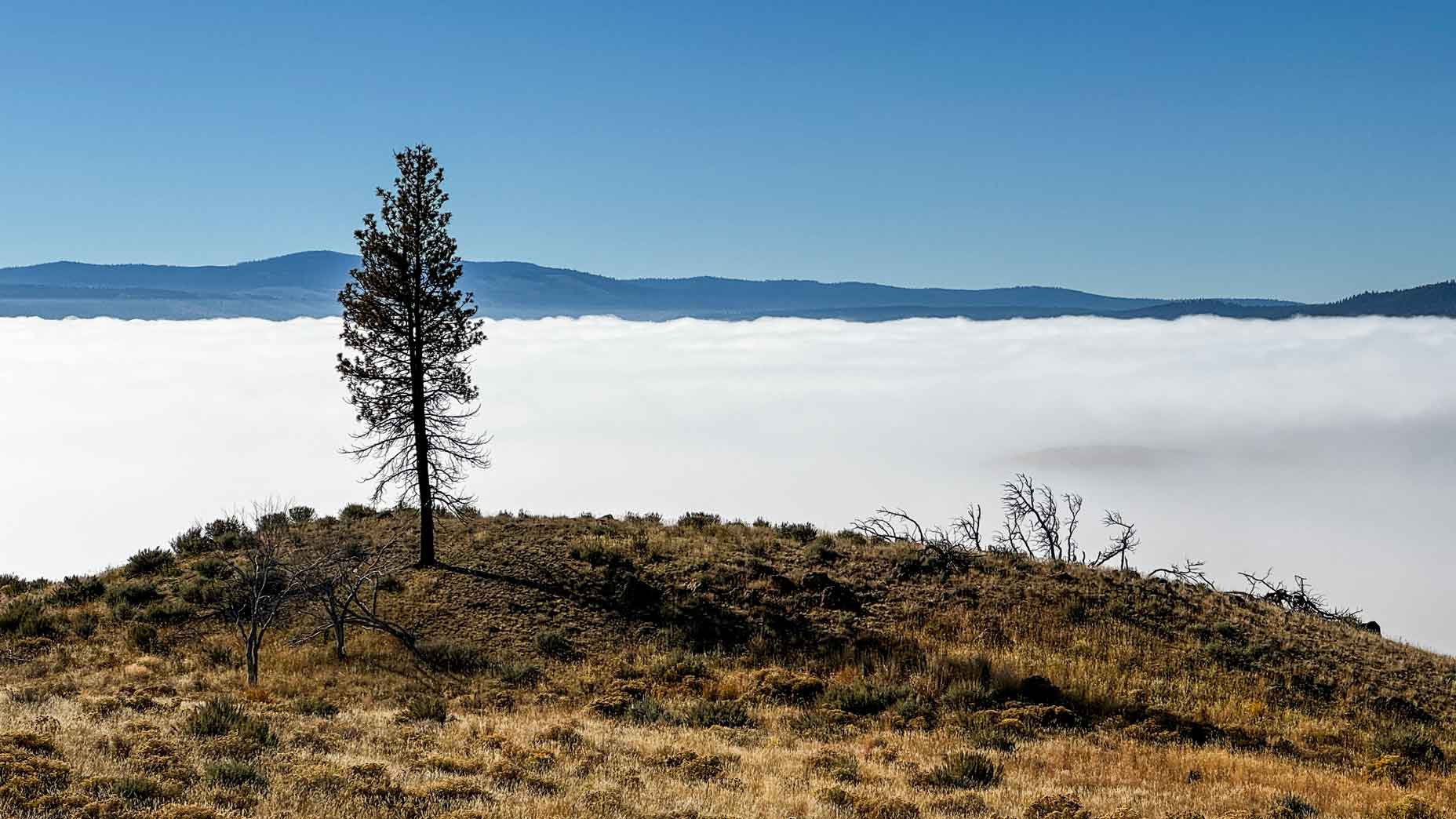 A view from a high point at Silvies Valley Ranch.
