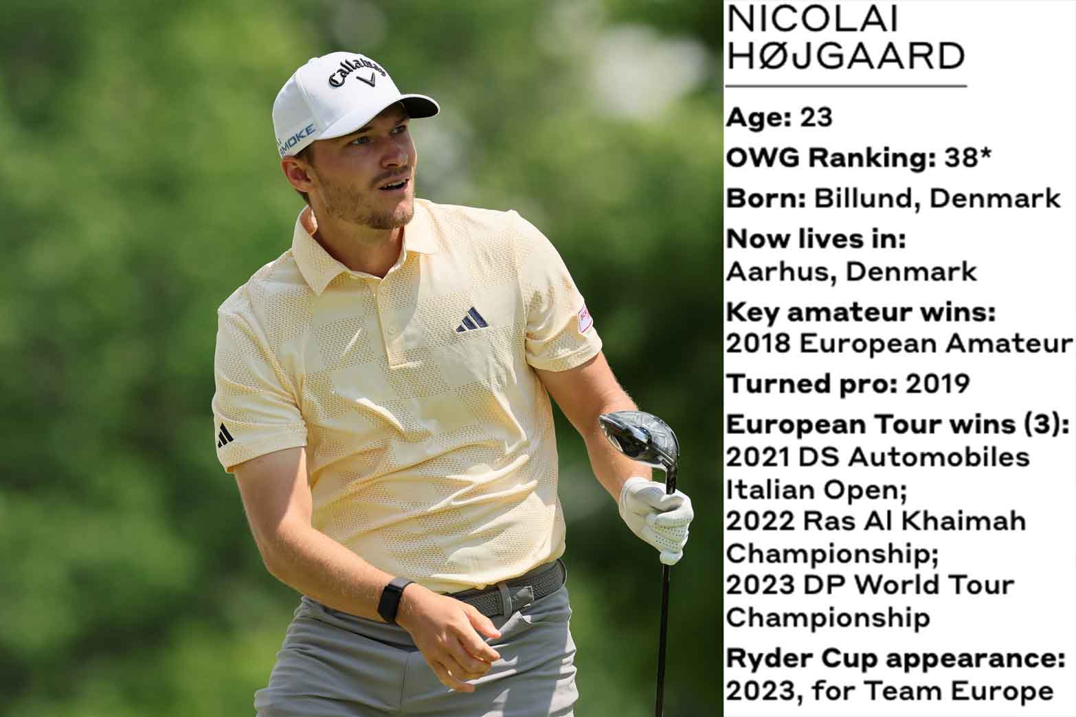 Nicolai Hojgaard bio