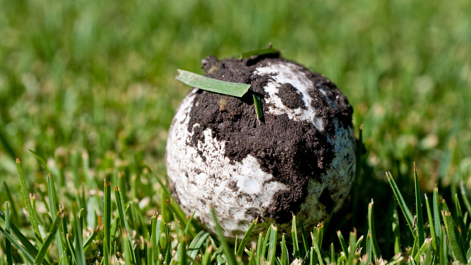 A muddy golf ball