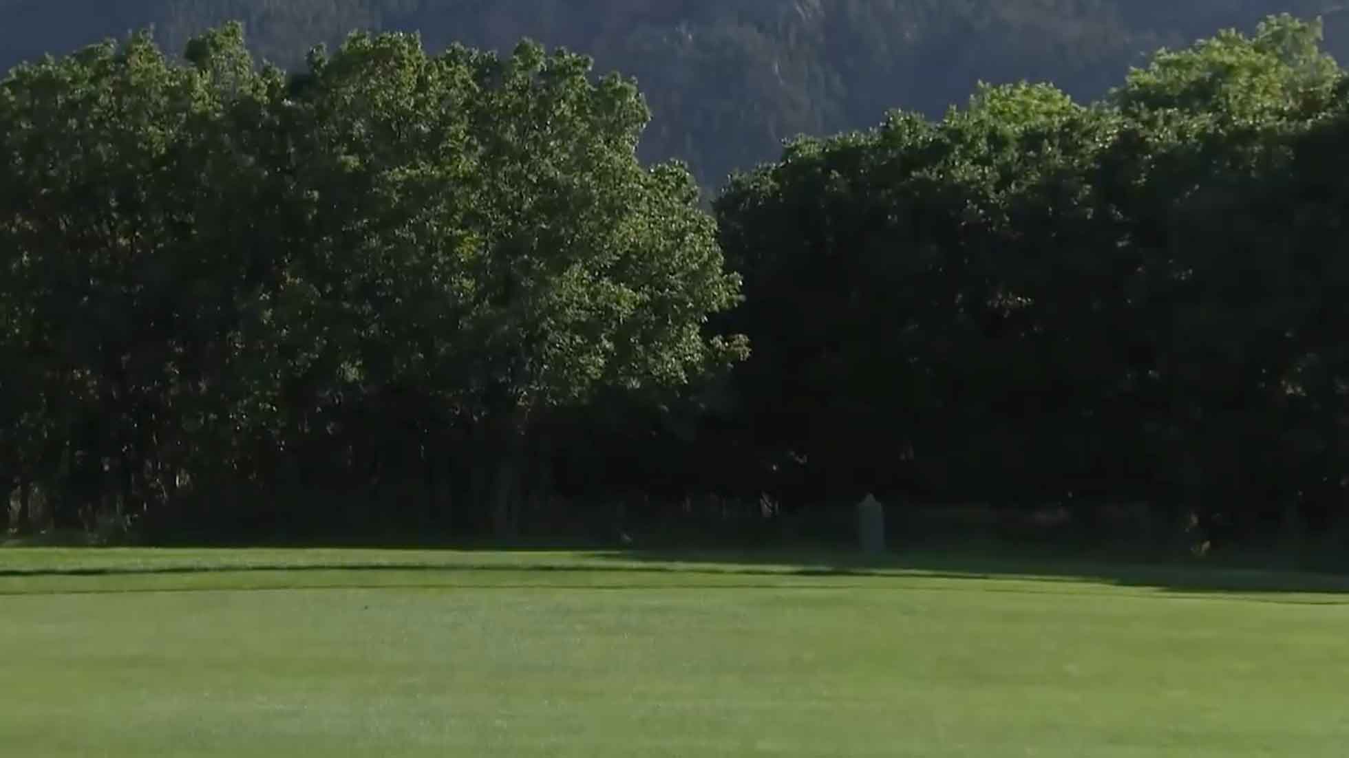 trees left of broadmoor's 15th fairway