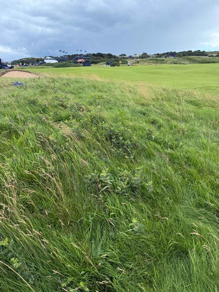 Royal portrush