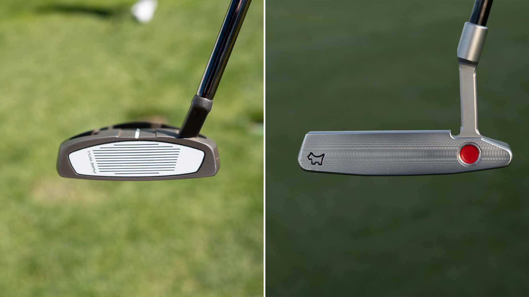 Rory McIlroy's TaylorMade Spider and Chan Kim's Scotty Cameron Newport 2.