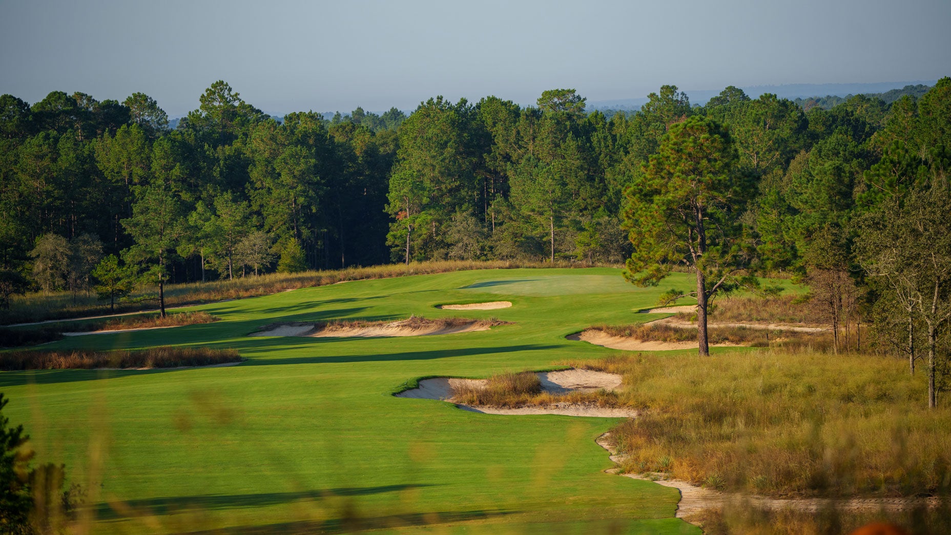 Wild Spring Dunes, a Tom Doak design in East Texas
