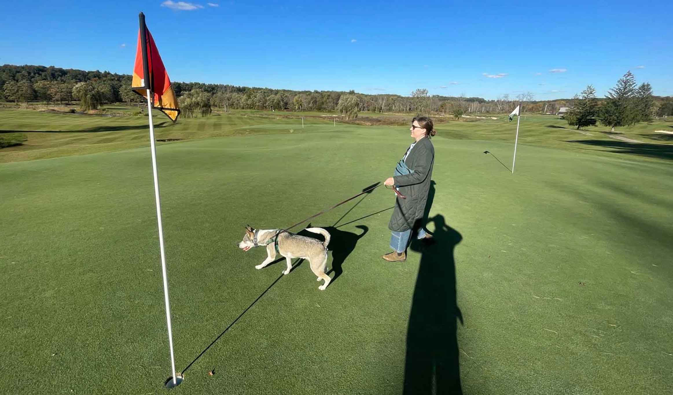 dog-walking green at innis